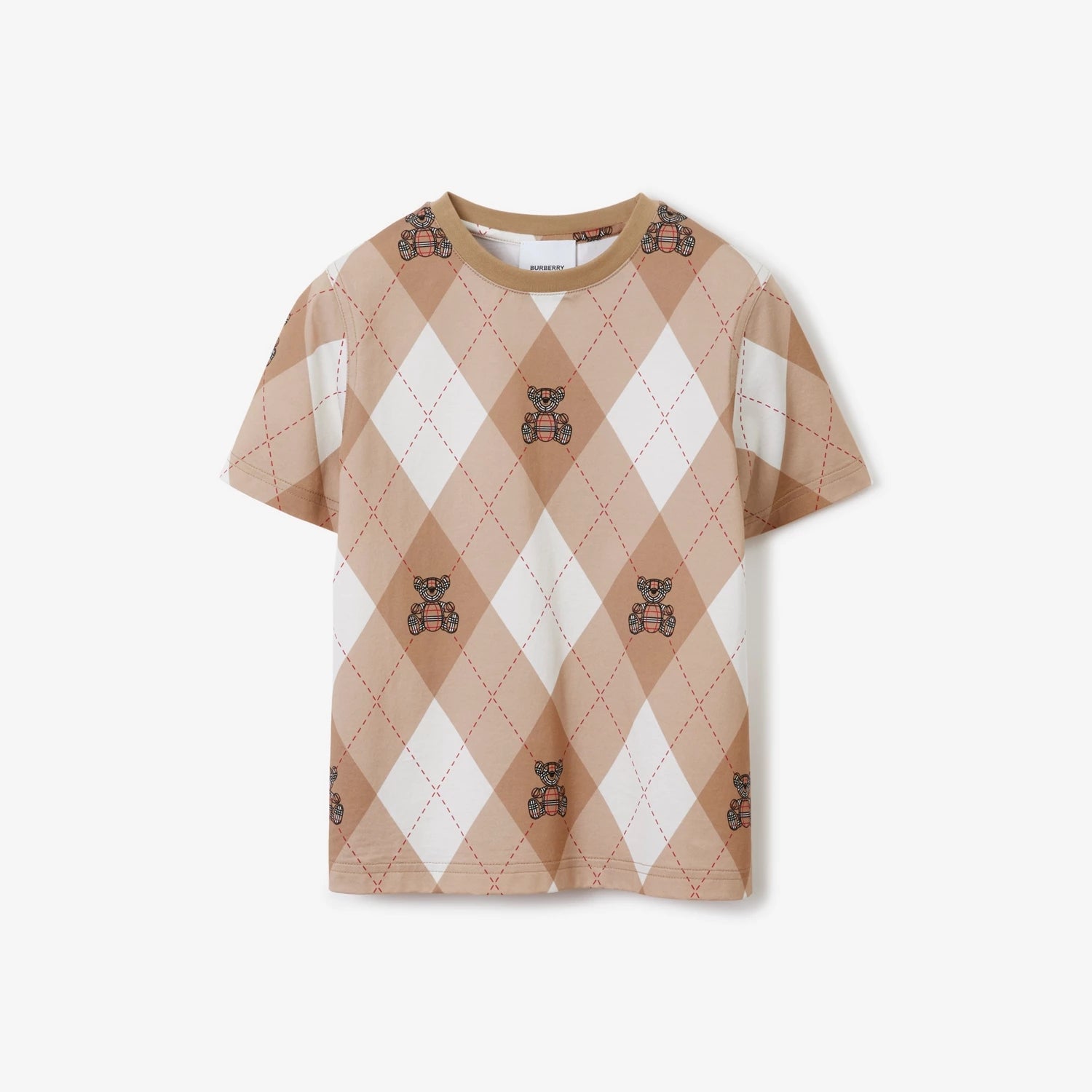 Boys Brown Printed Cotton T-Shirt
