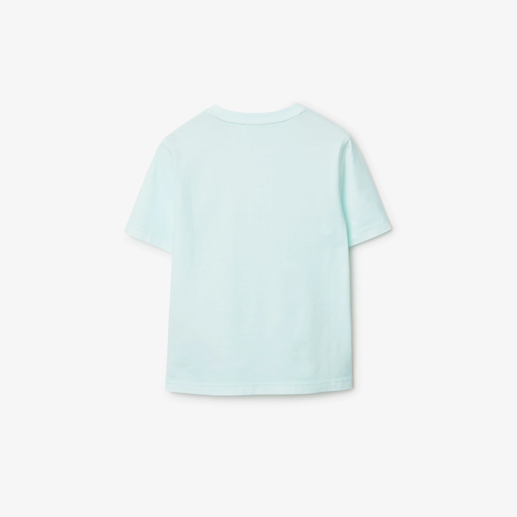 Boys & Girls Mint Cotton T-Shirt