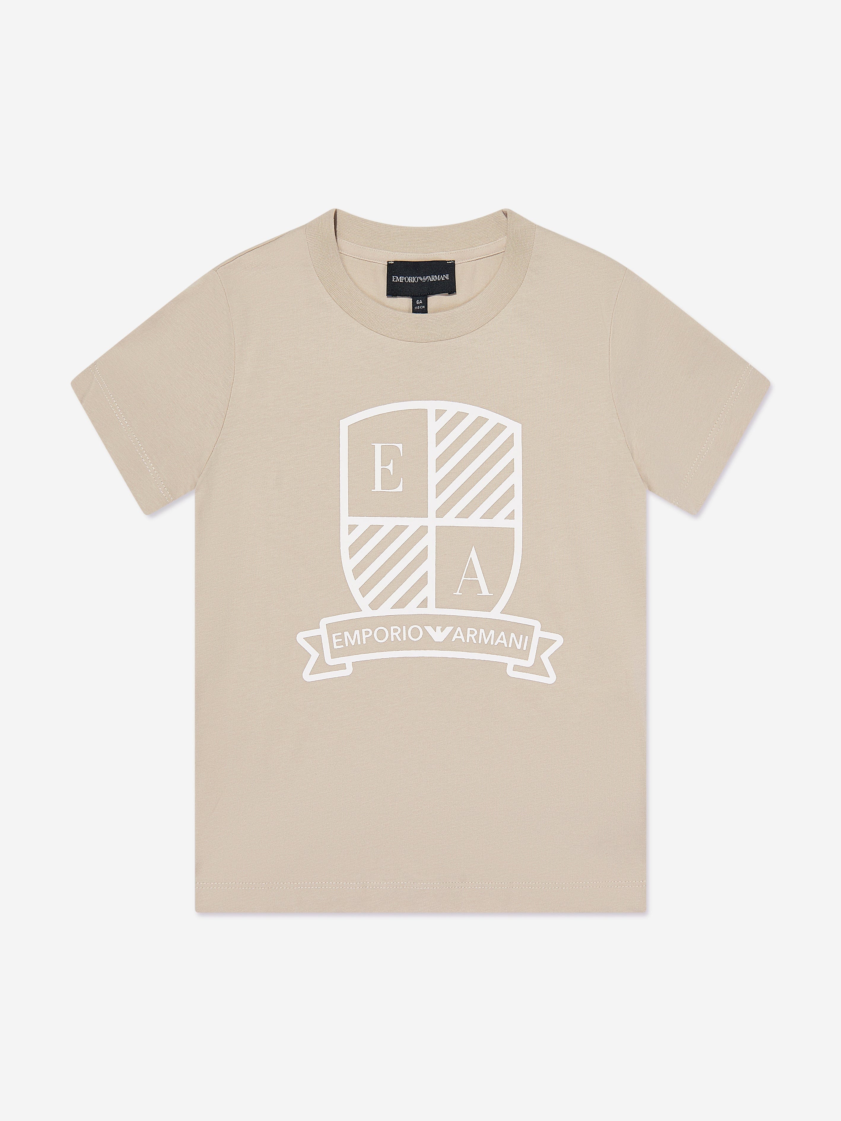 Emporio Armani Boys 2 Pack T-Shirts Set in Multicolour