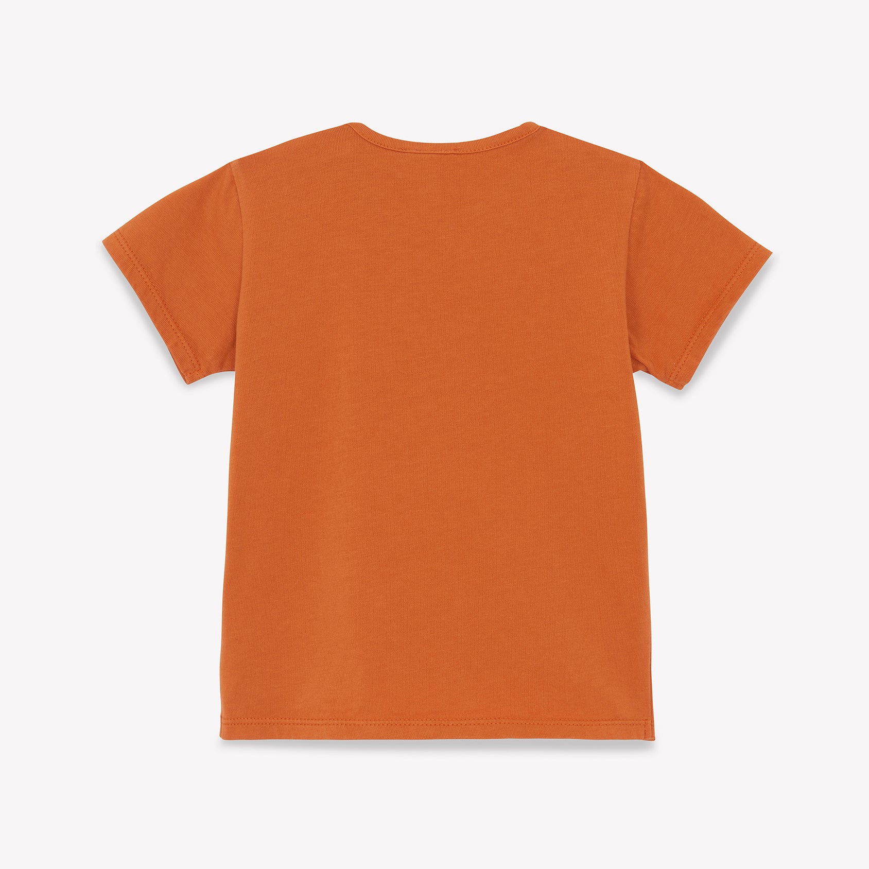 Baby Boys & Girls Orange Printed Cotton T-Shirt