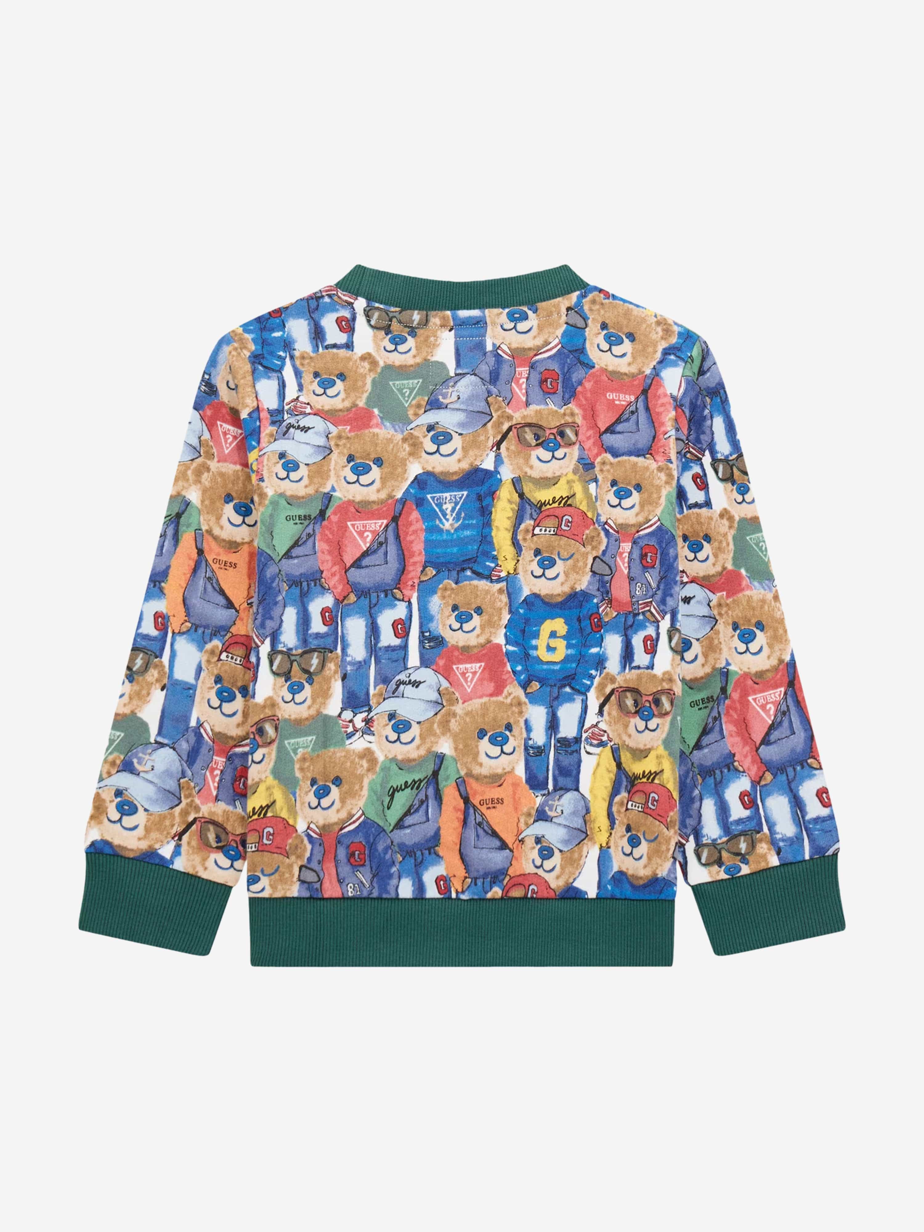 Boys Bear Print Sweatshirt in Multicolour