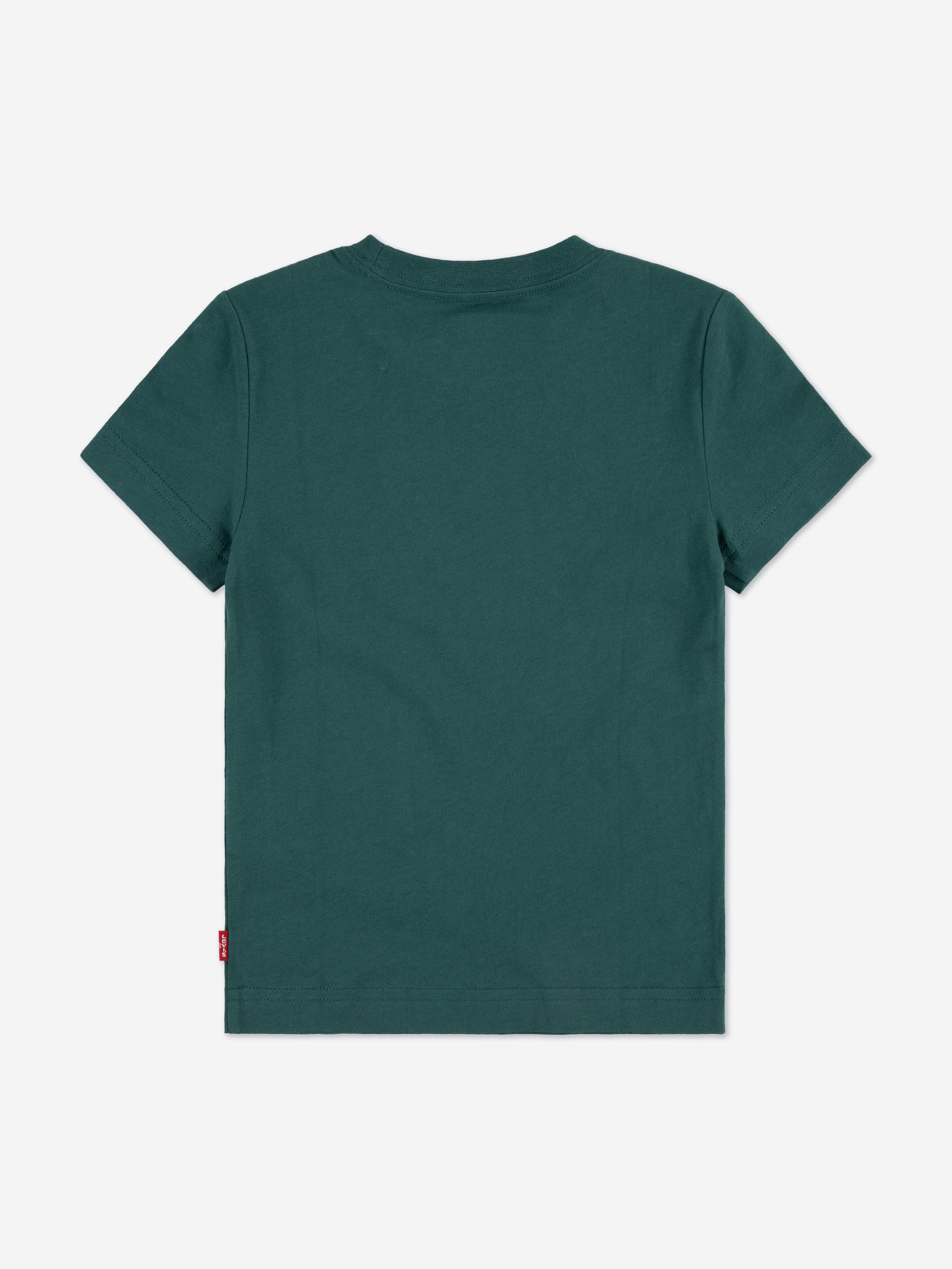 Levi's Boys Batwing T-Shirt in Green