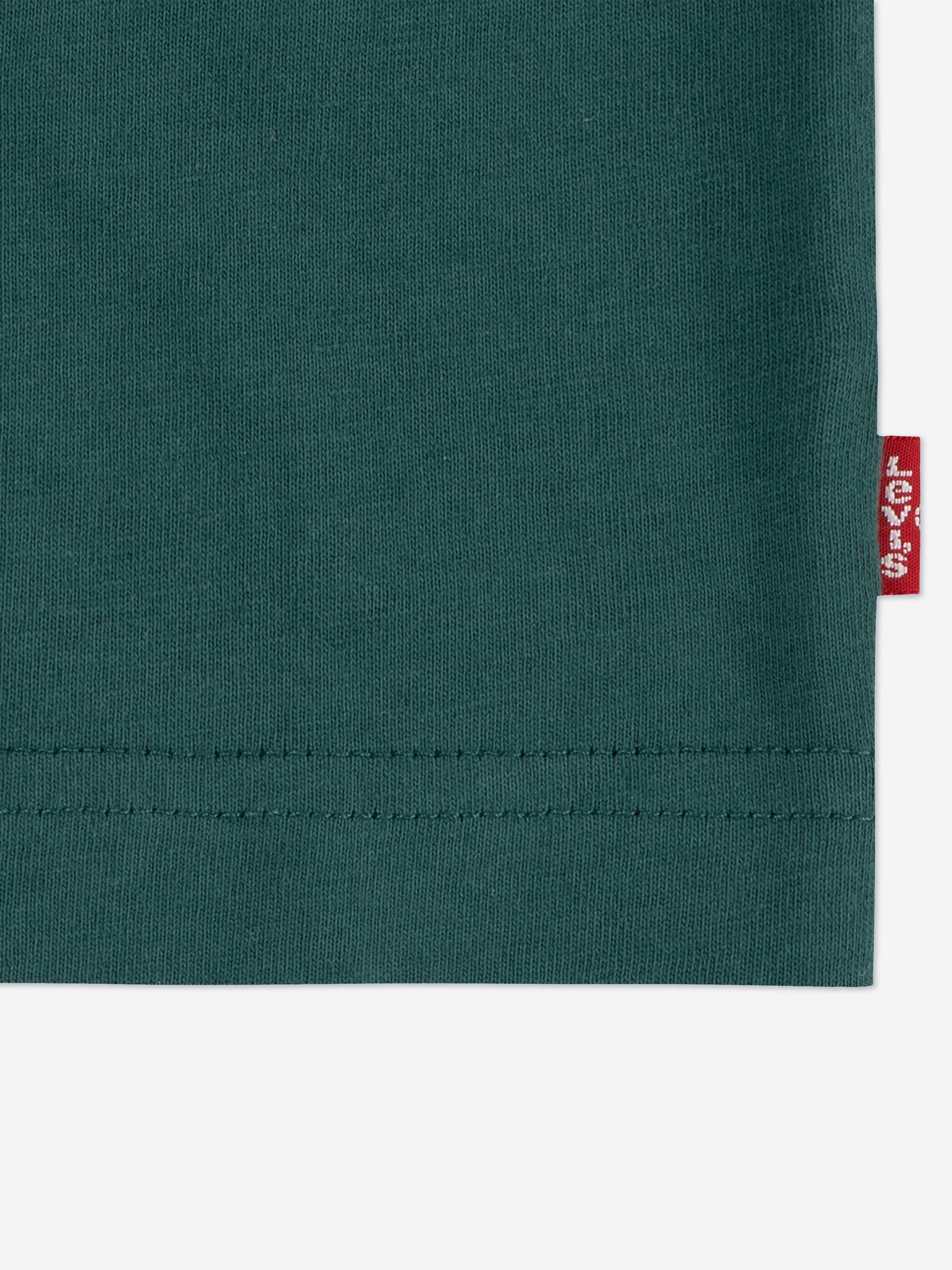 Levi's Boys Batwing T-Shirt in Green