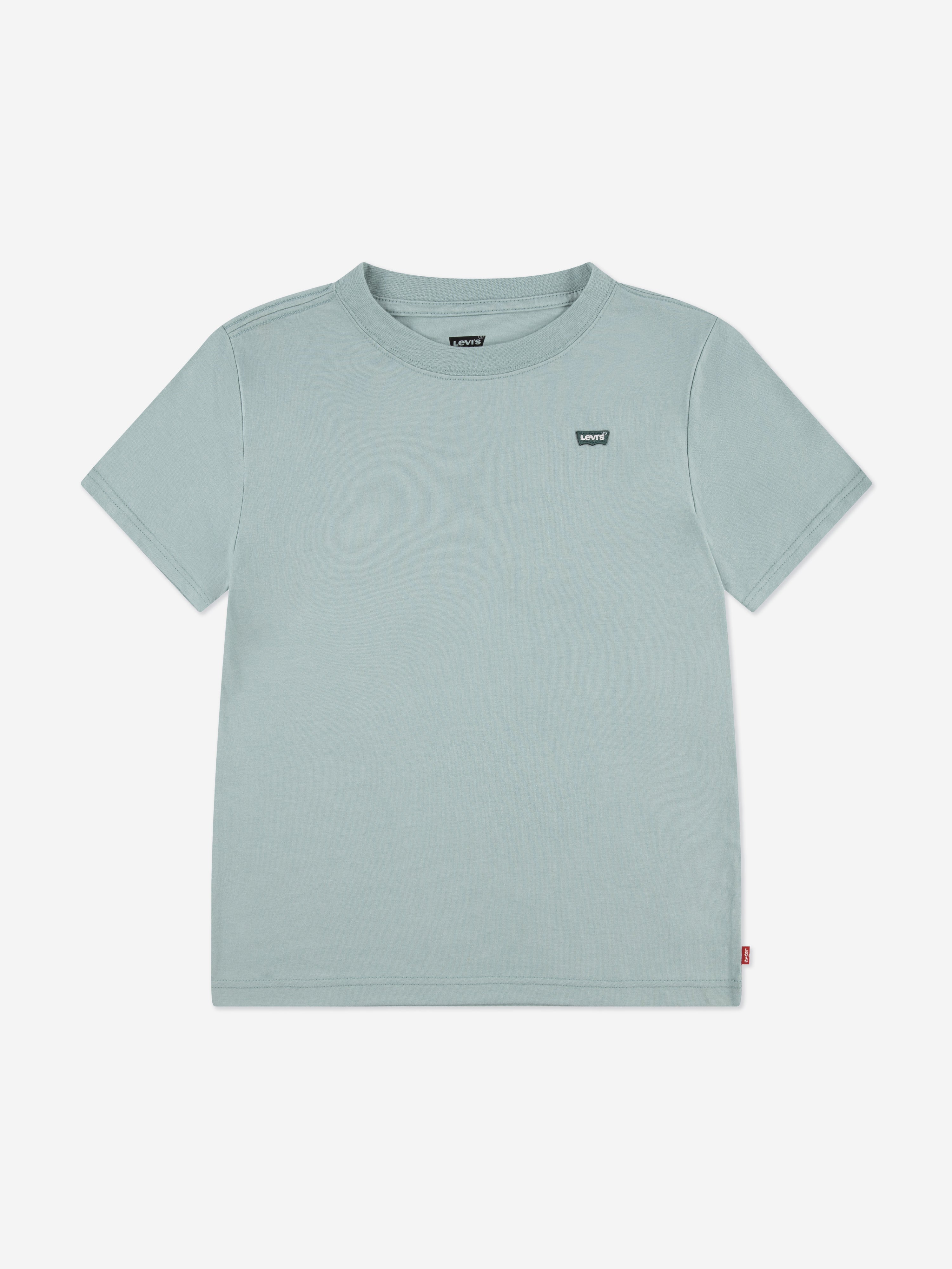 Levi's Boys Batwing Chest Hit T-Shirt in Green