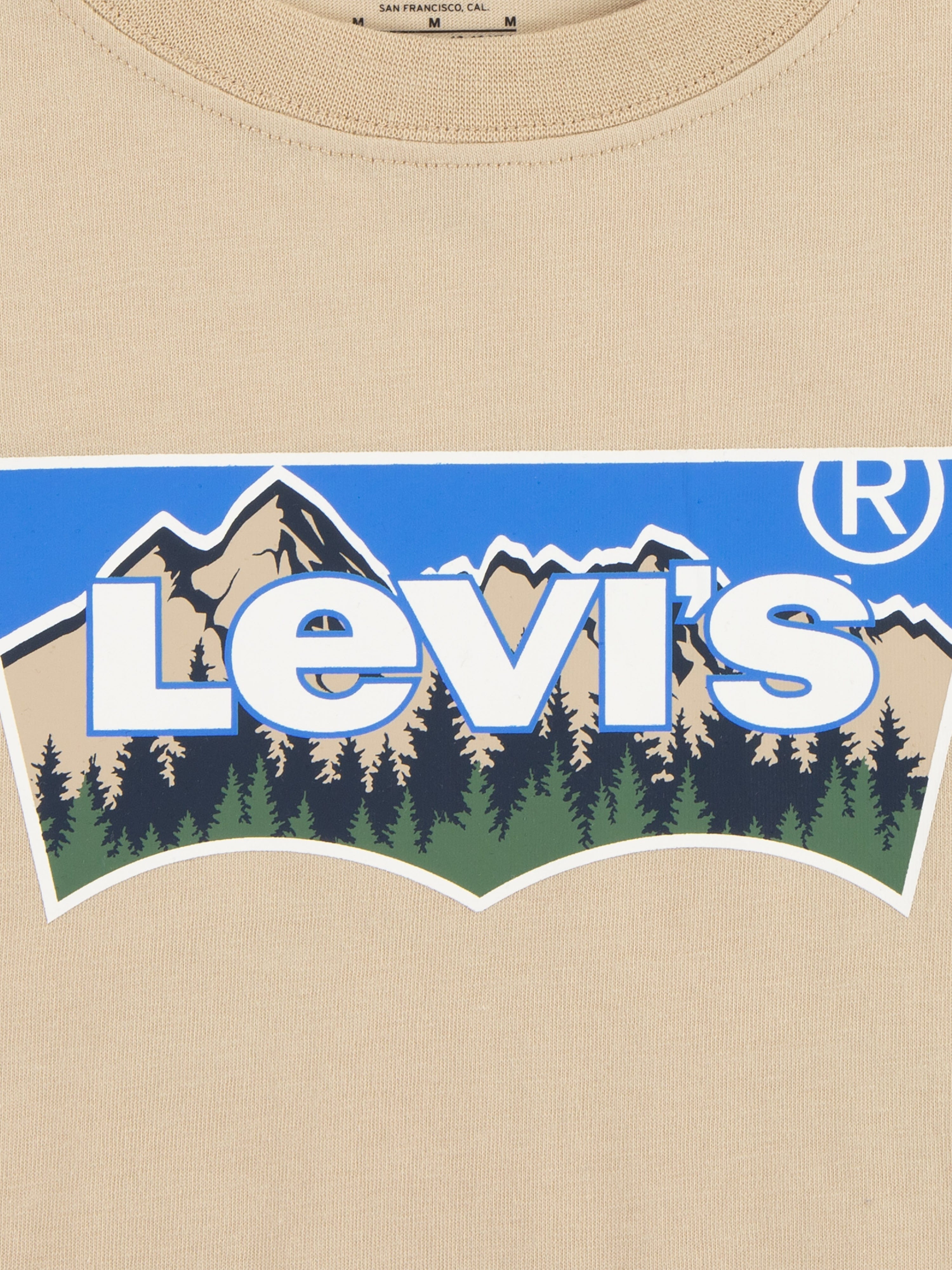 Levi's Boys Forested Mountains Batwing T-Shirt in Beige