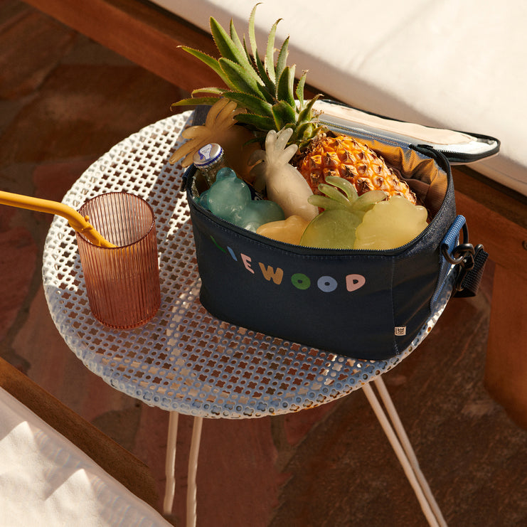 Pineapple Reusable Lunchbox Cooler(3 Pack)