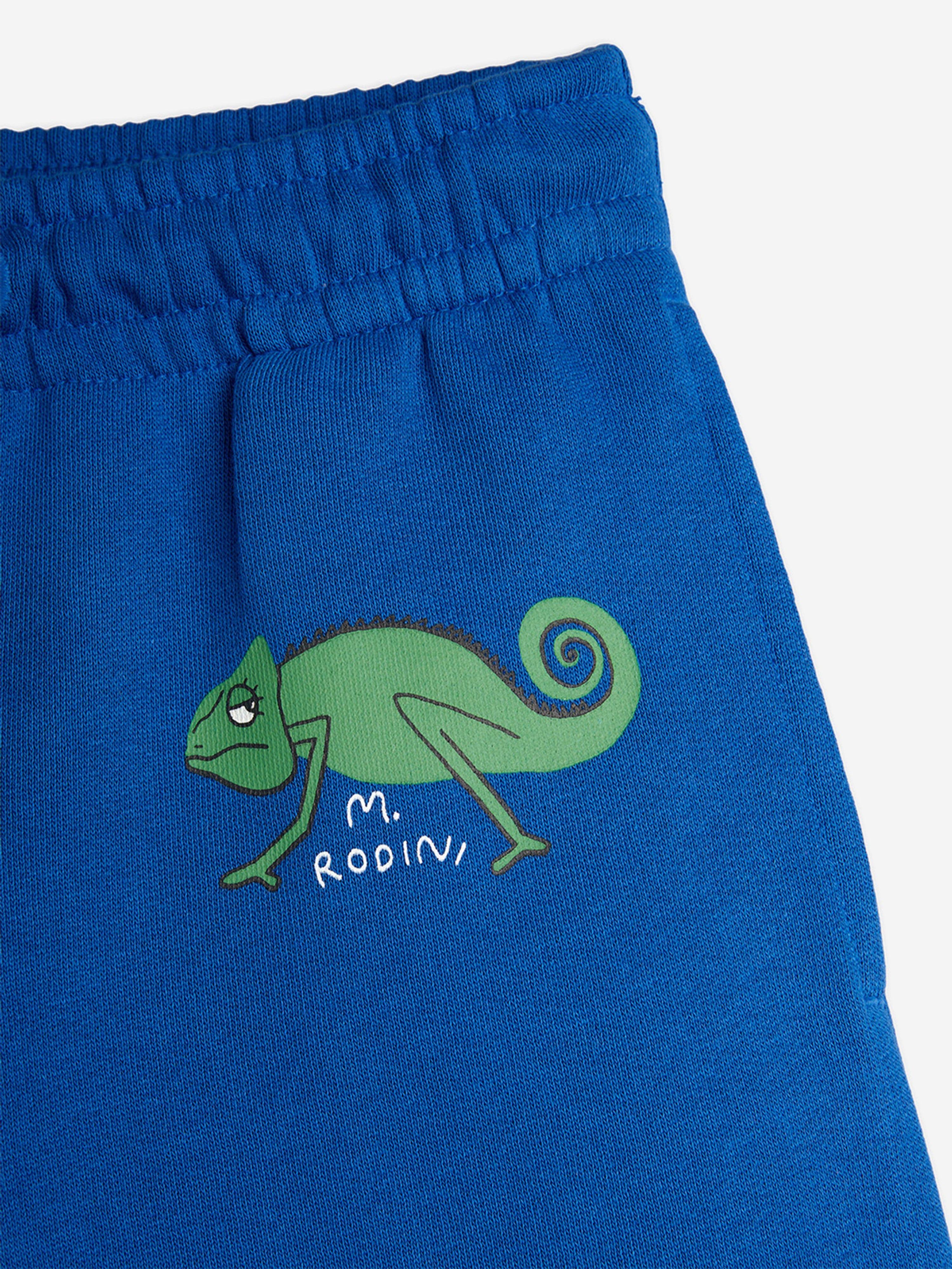Boys Lizard Sweat Shorts in Blue