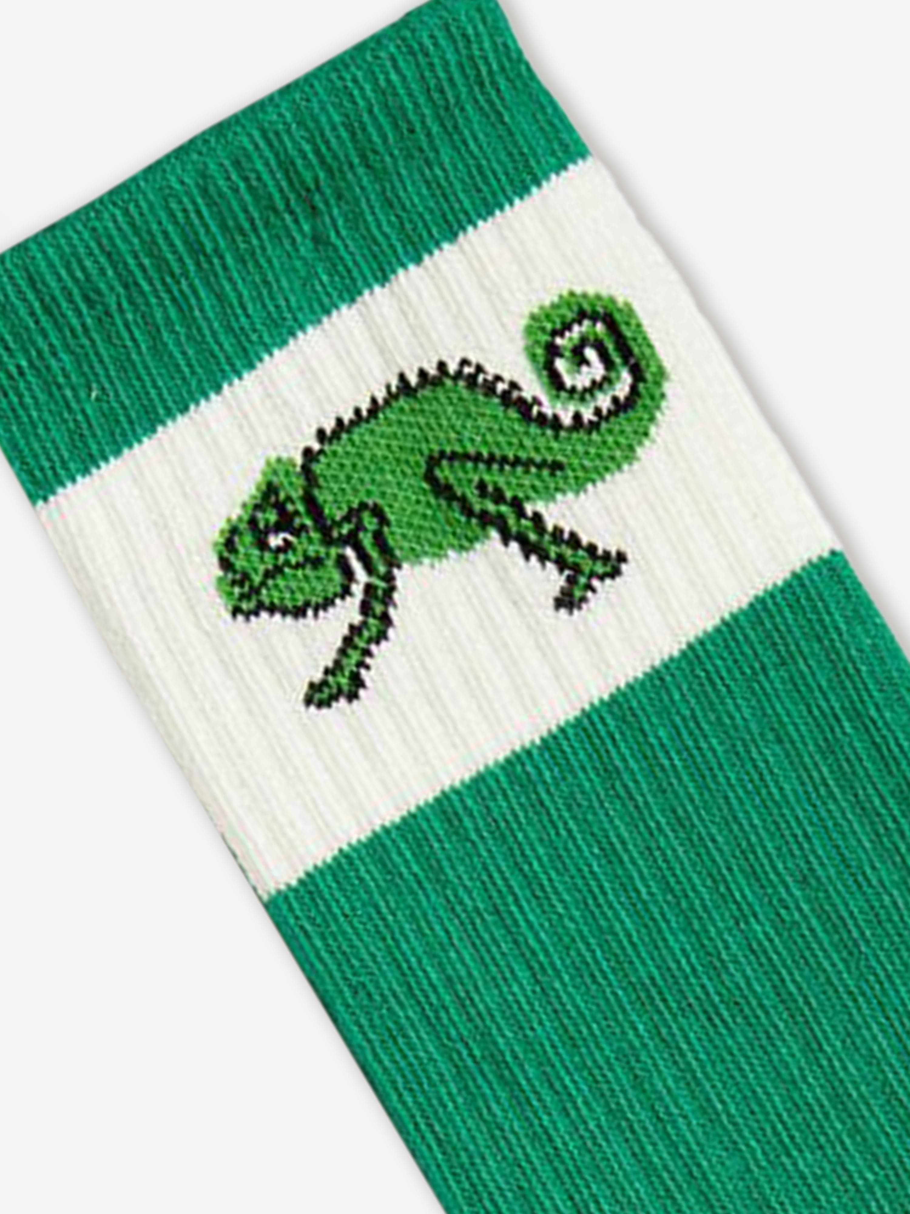 Boys Lizard Socks in Green