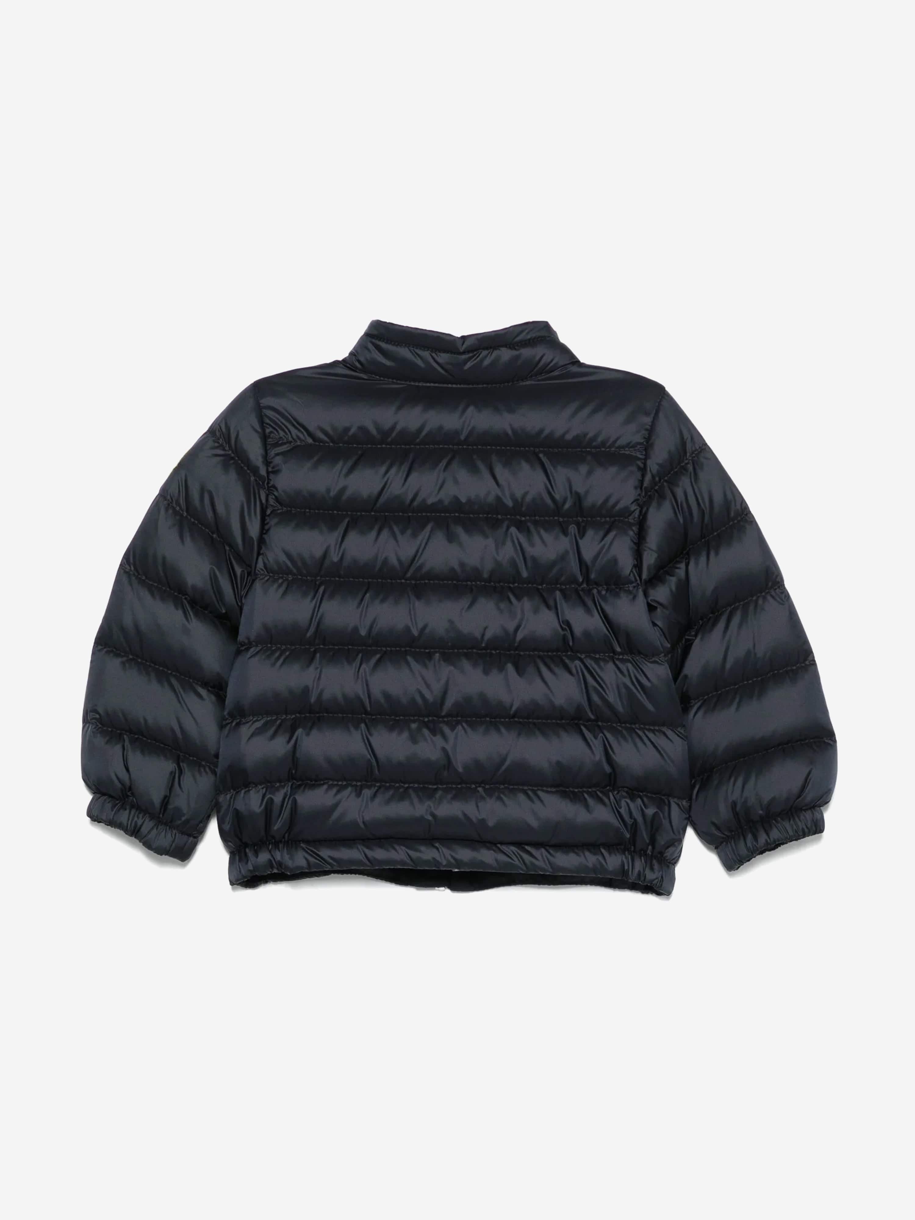 Baby Boys Down Padded Acorus Jacket in Navy