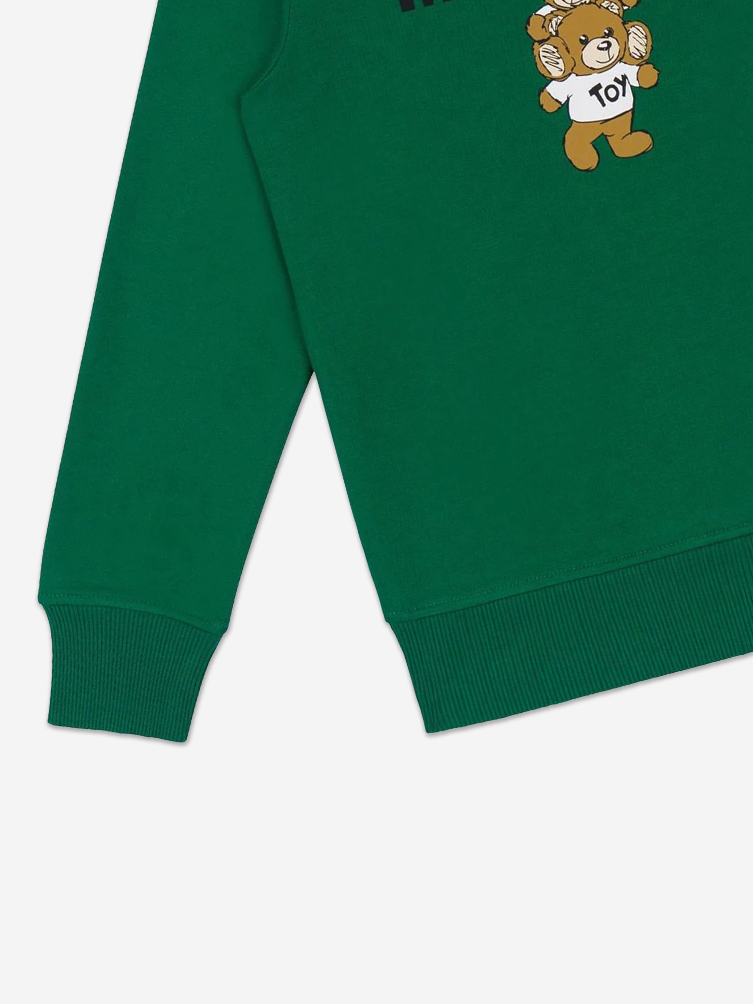 Kids Bear Logo Sweatshirt in Green