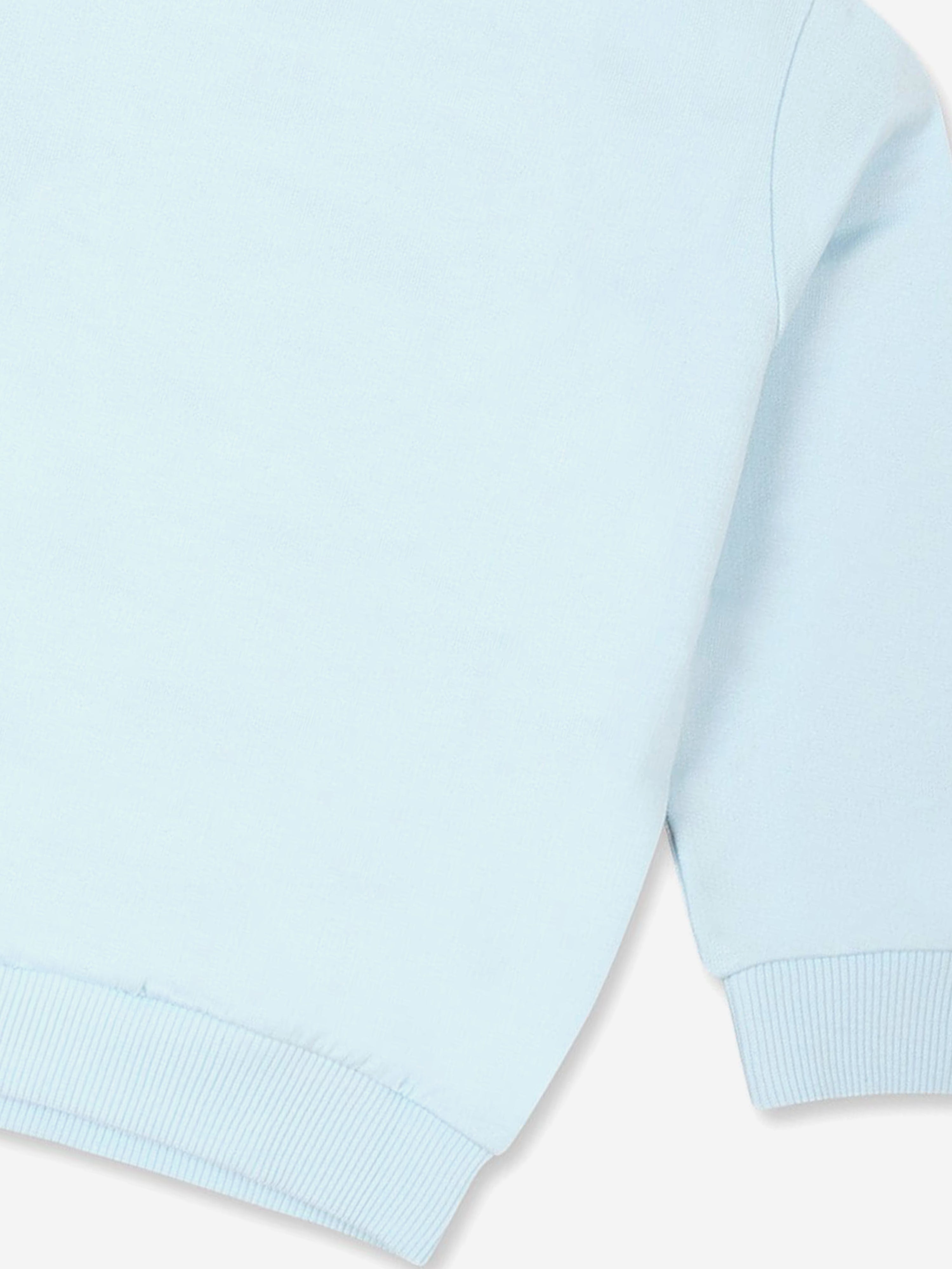 Baby Bear Logo Sweatshirt in Blue