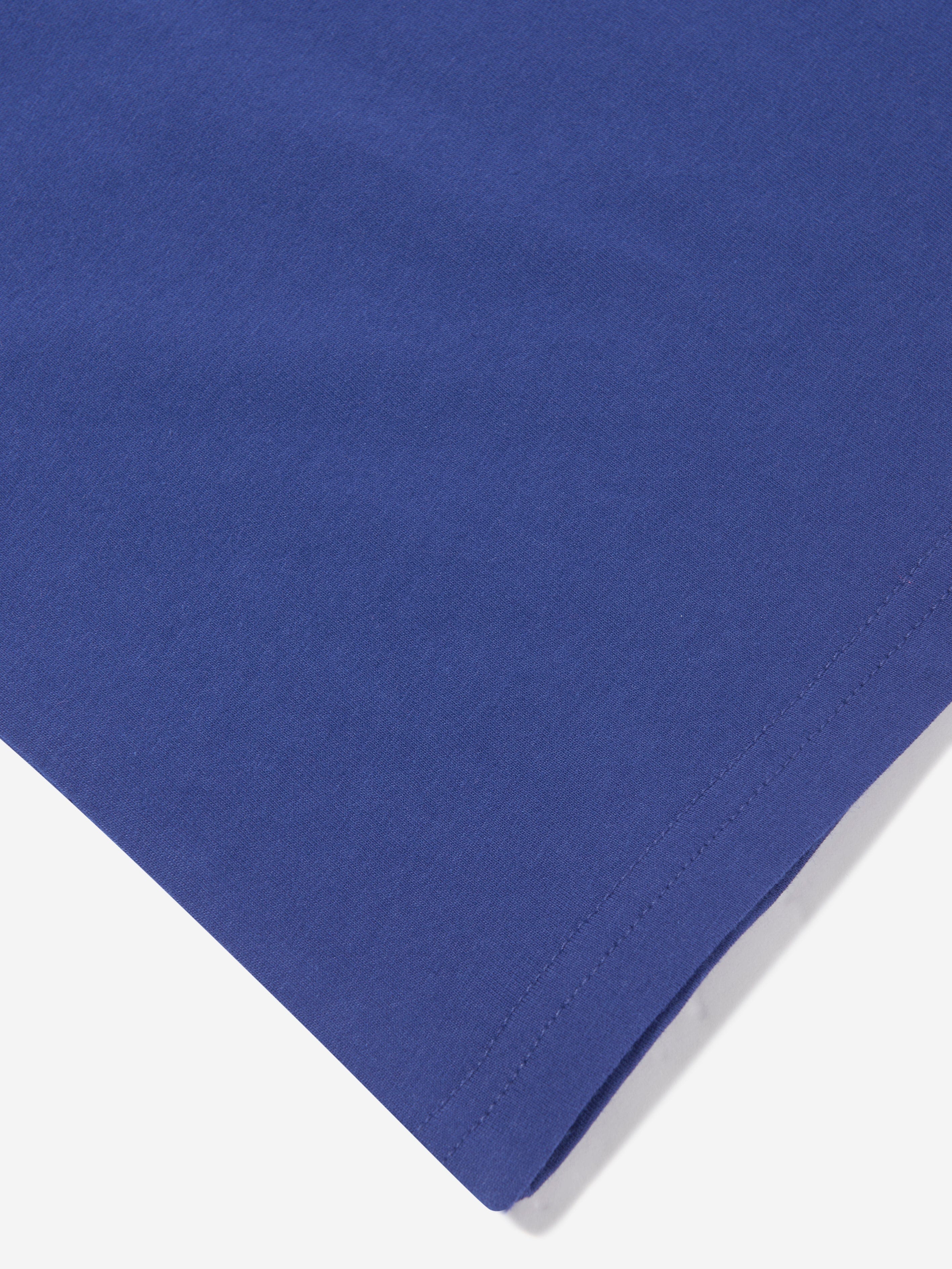 Ralph Lauren Boys Logo T-Shirt in Blue