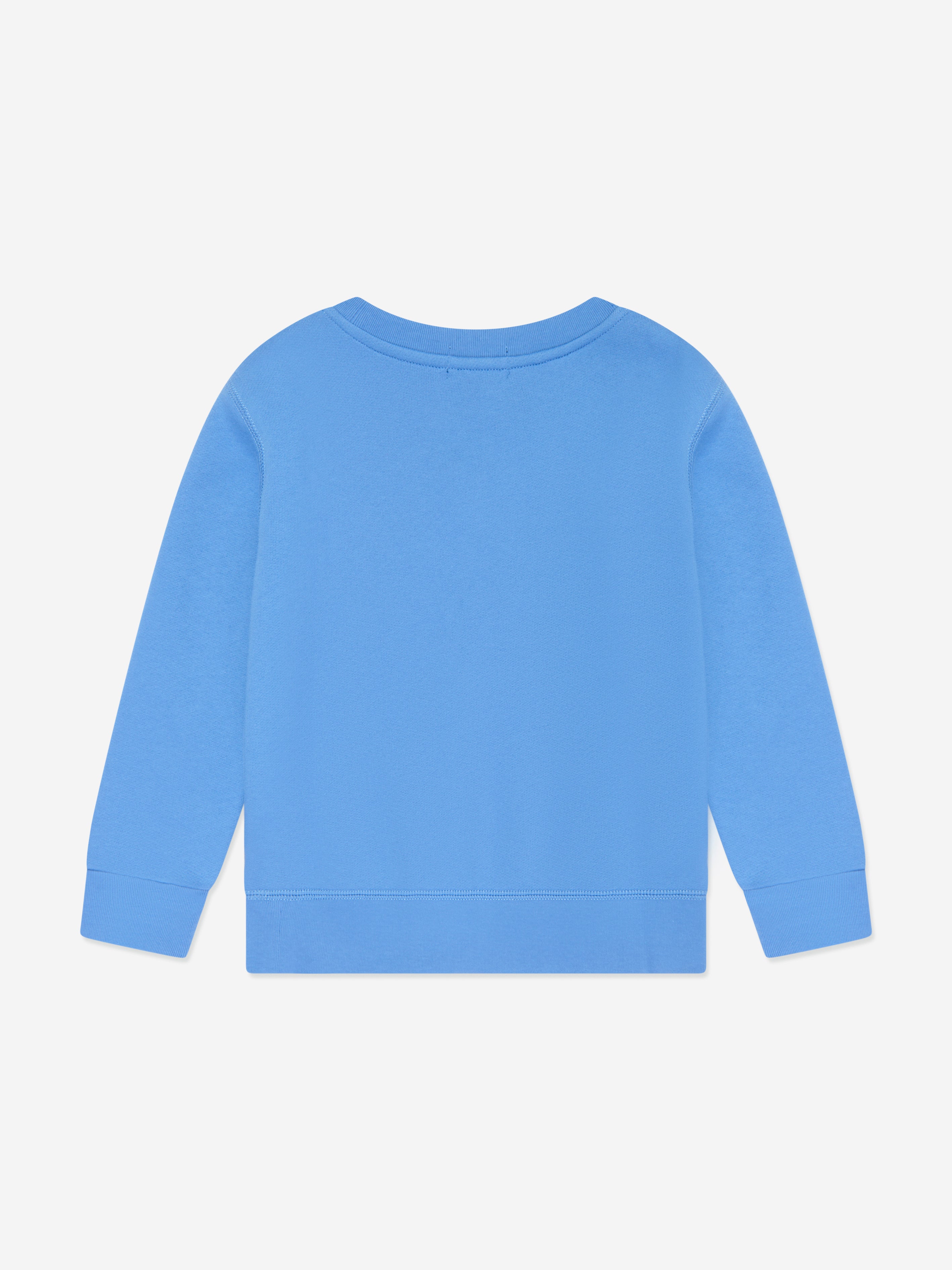 Boys Logo Sweatshirt in Blue