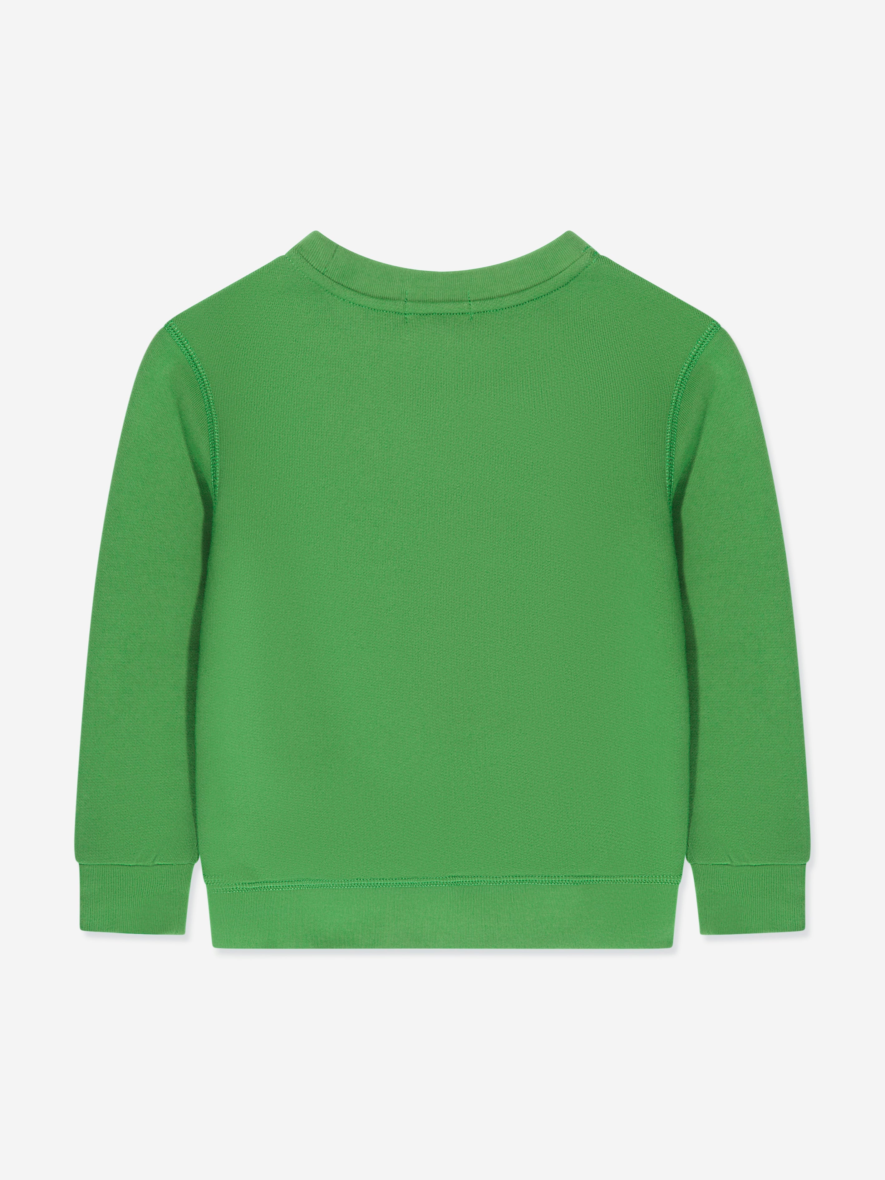 Boys Logo Sweatshirt in Green