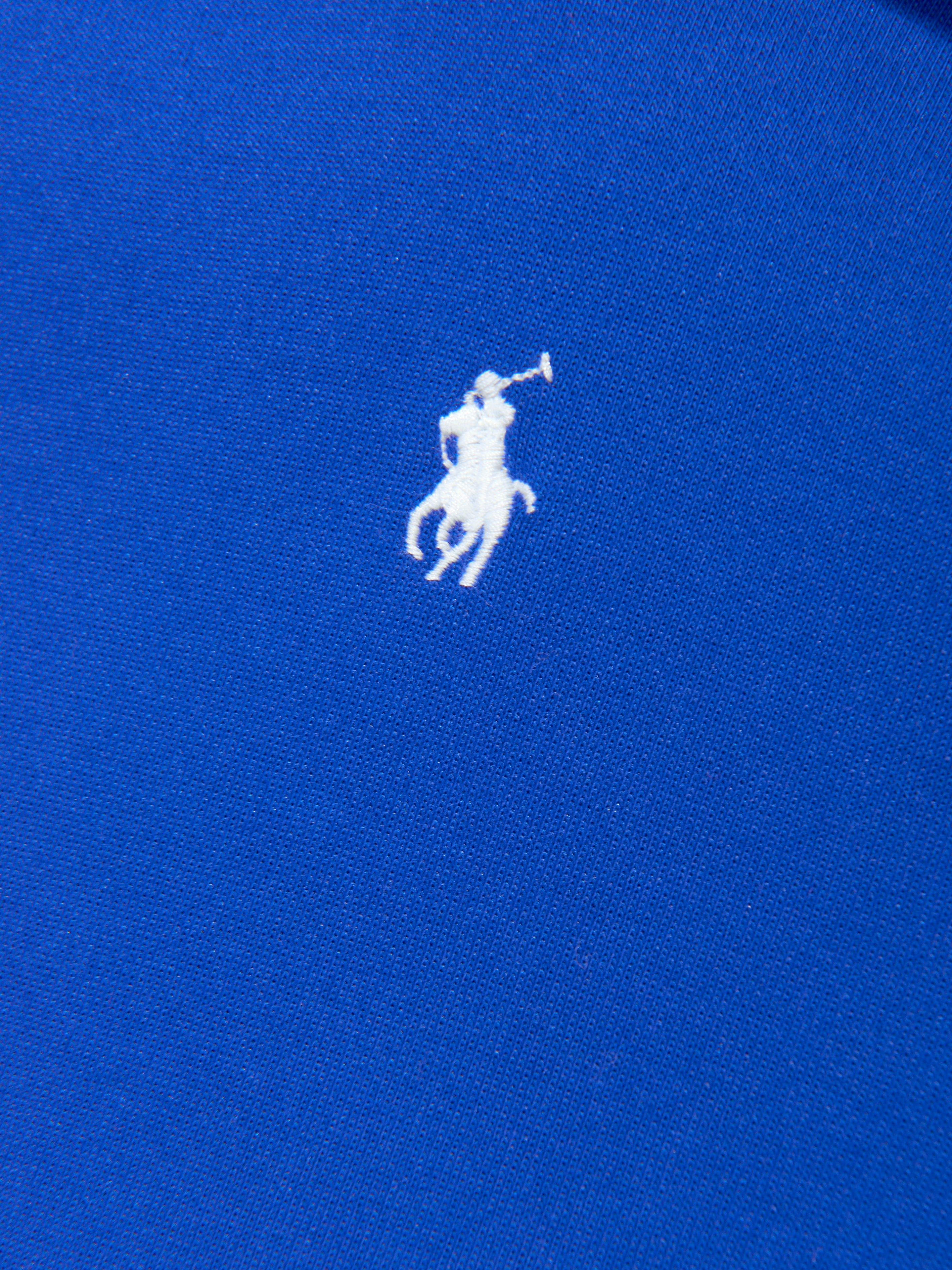 Boys Logo Hoodie in Blue