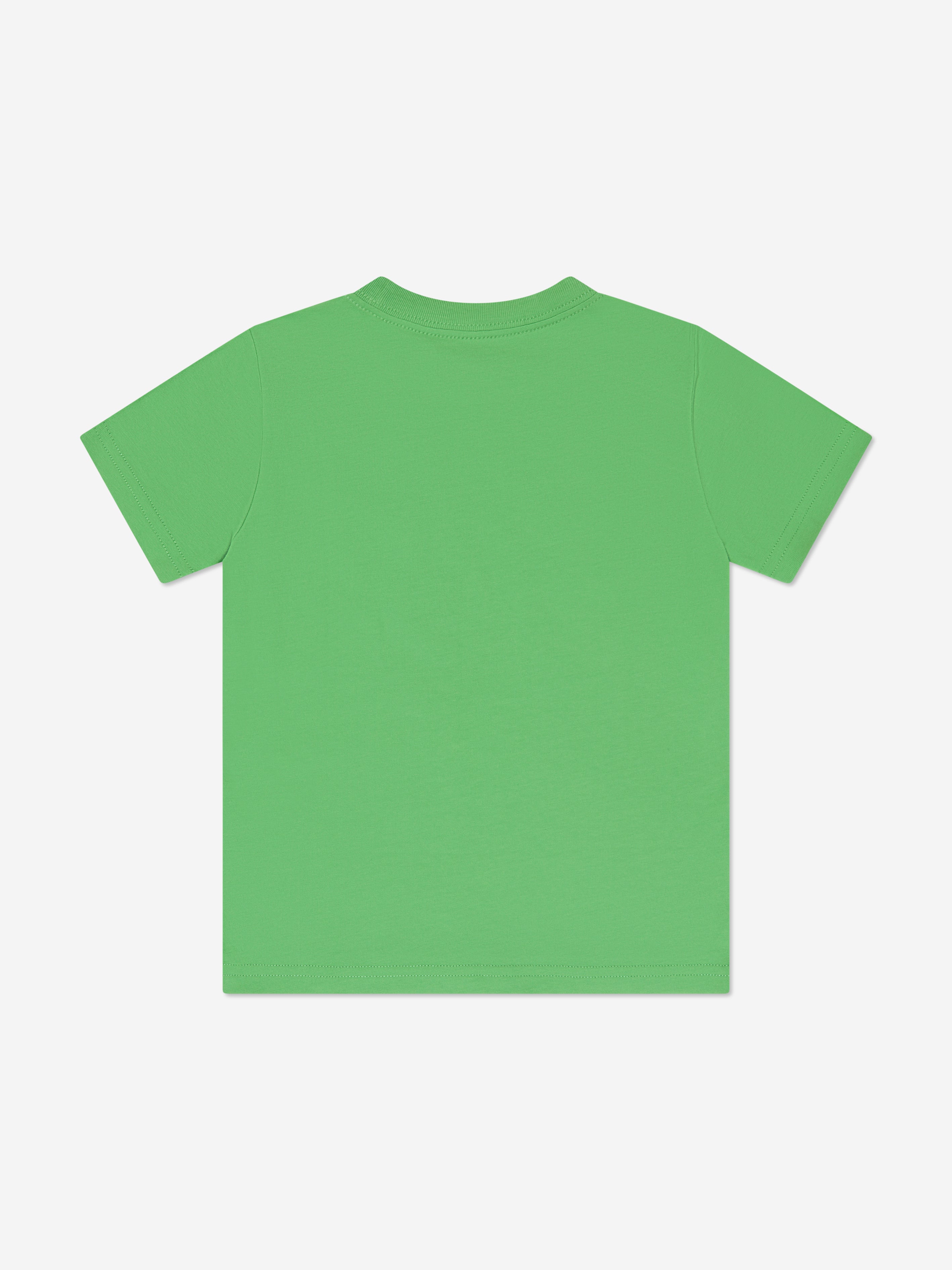 Ralph Lauren Boys Bear T-Shirt in Green