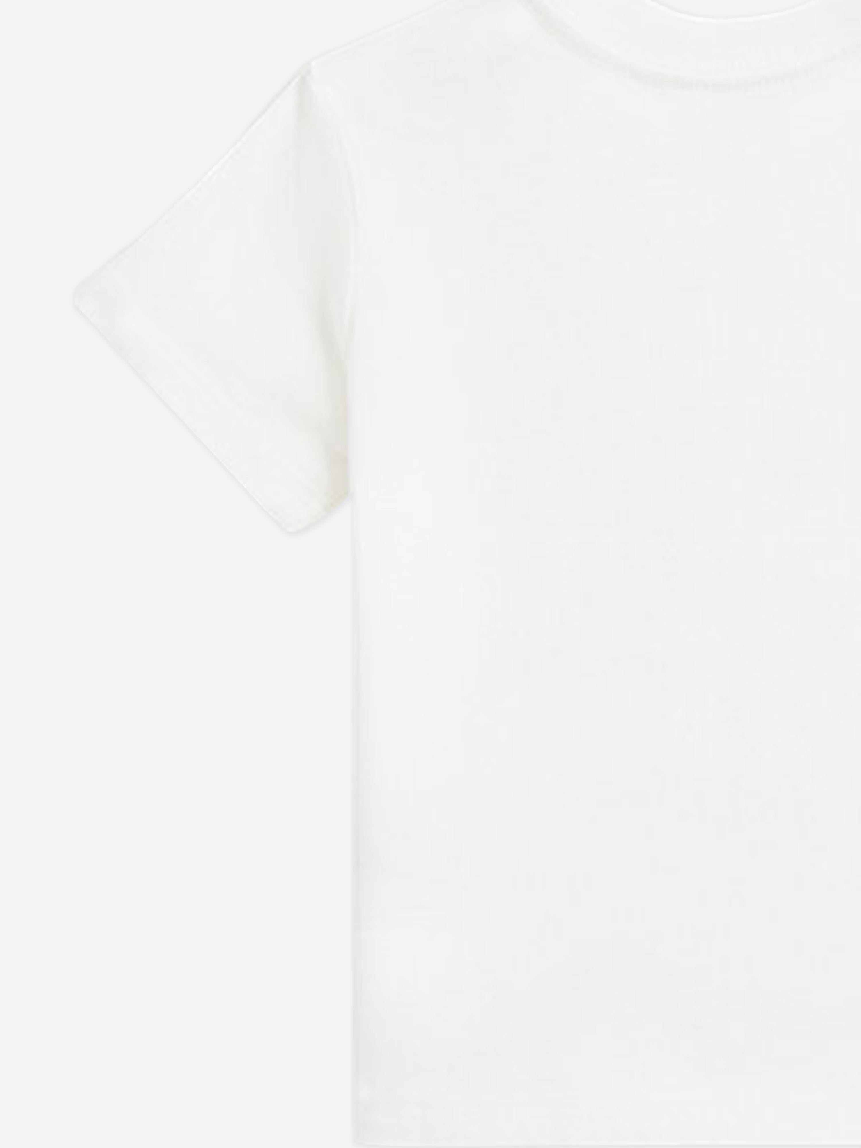 Boys Polo Bear T-Shirt in White