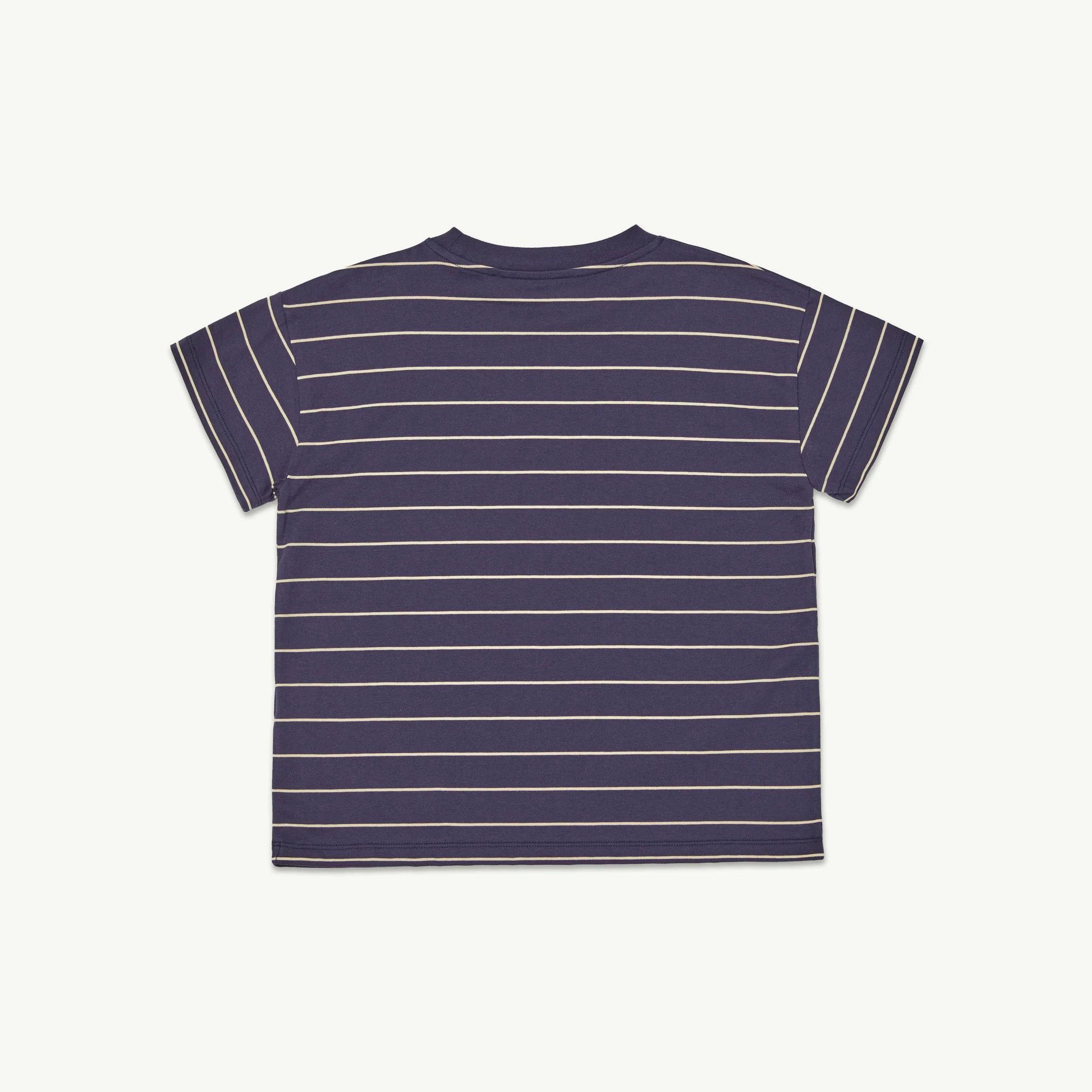 Boys & Girls Navy Stripes Cotton T-Shirt