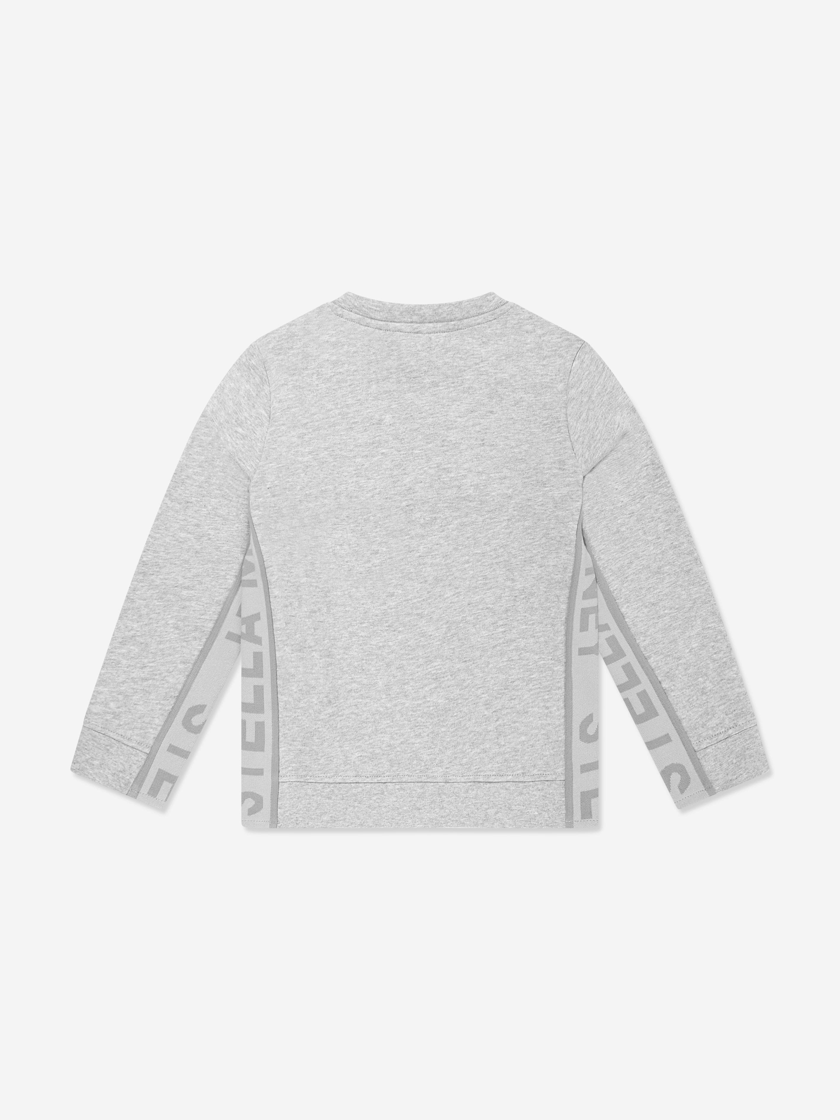 Boys Logo Sweatshirt in Grey