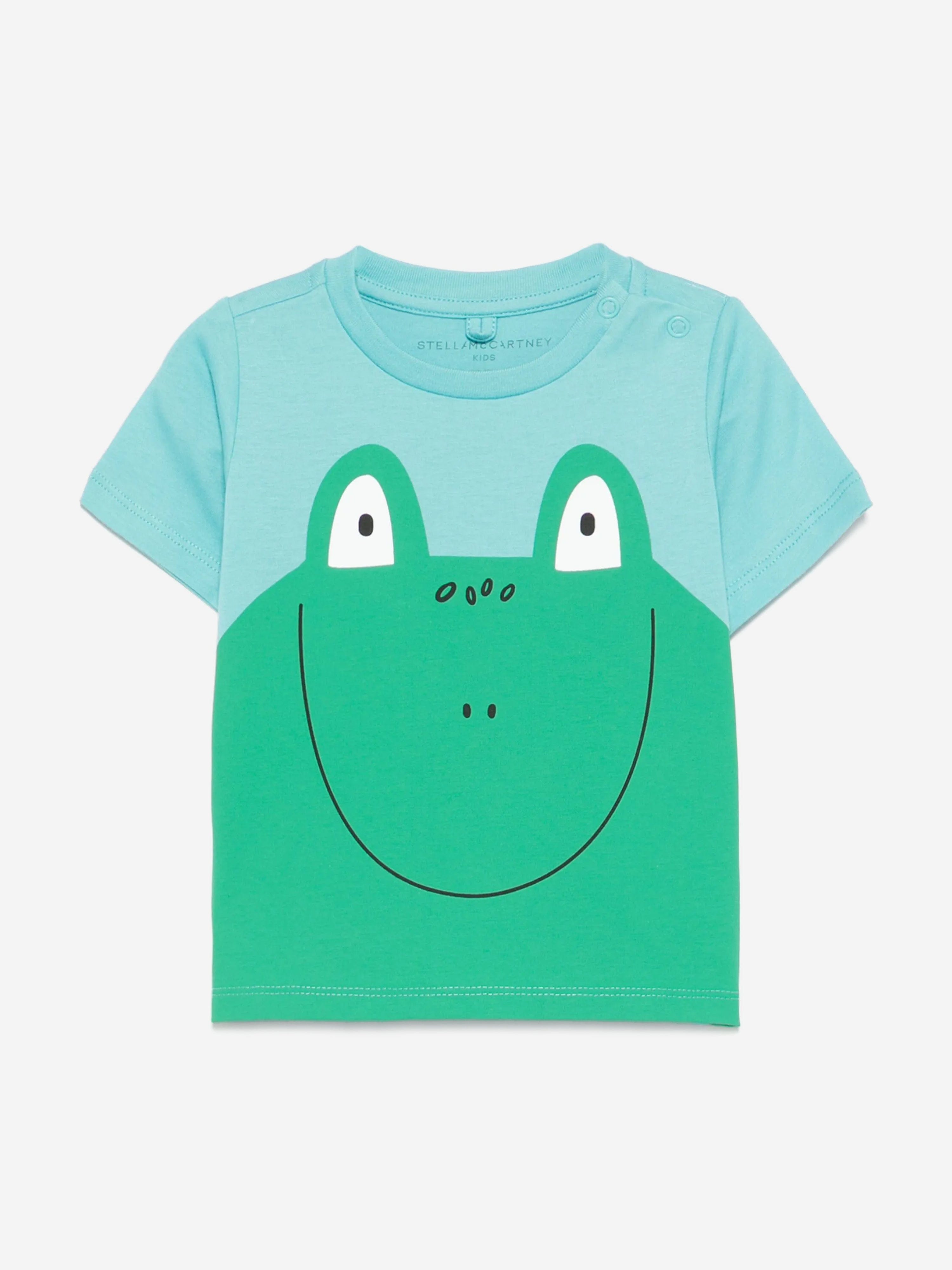 Baby Boys Frog T-Shirt in Green