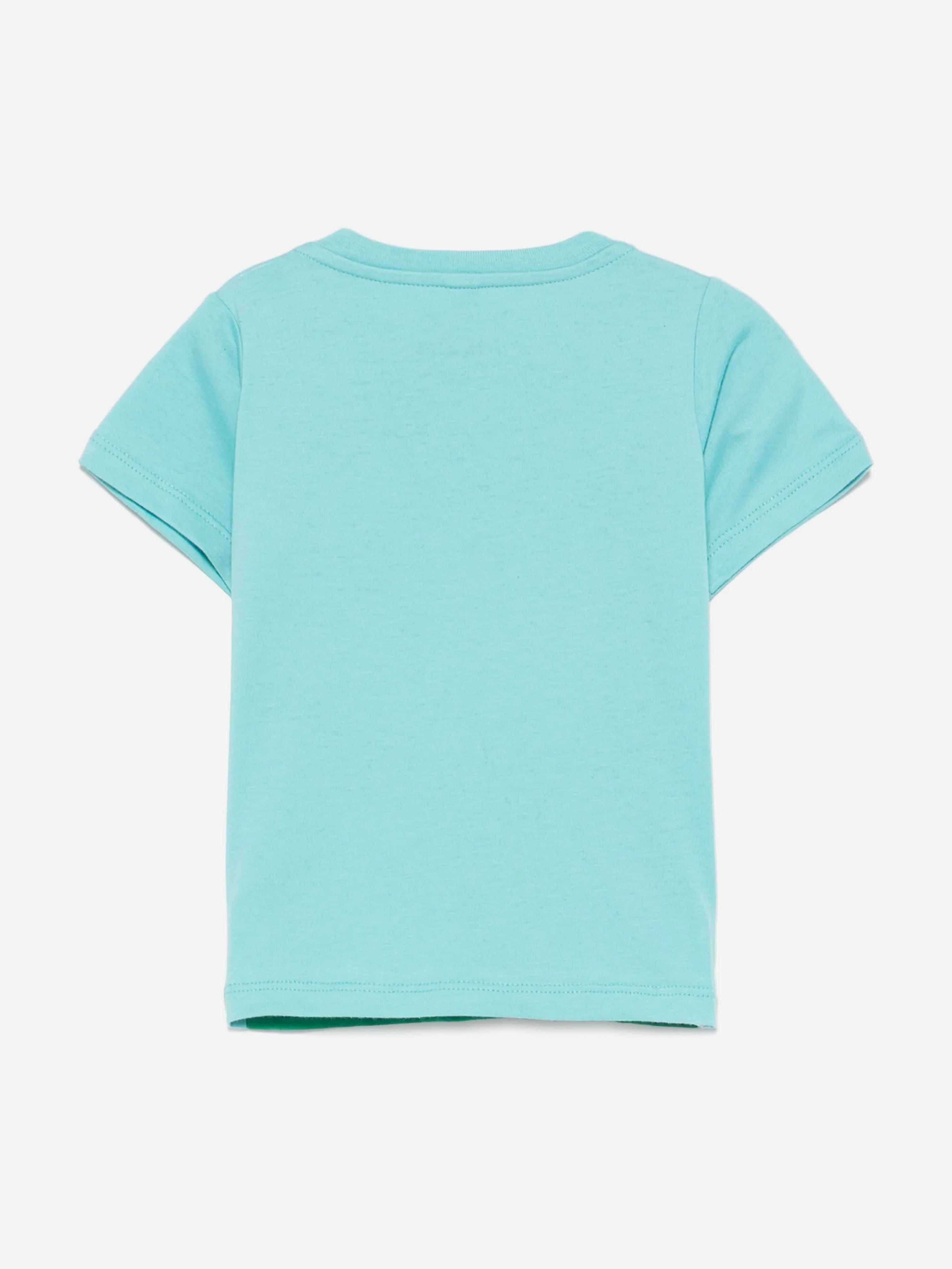 Baby Boys Frog T-Shirt in Green