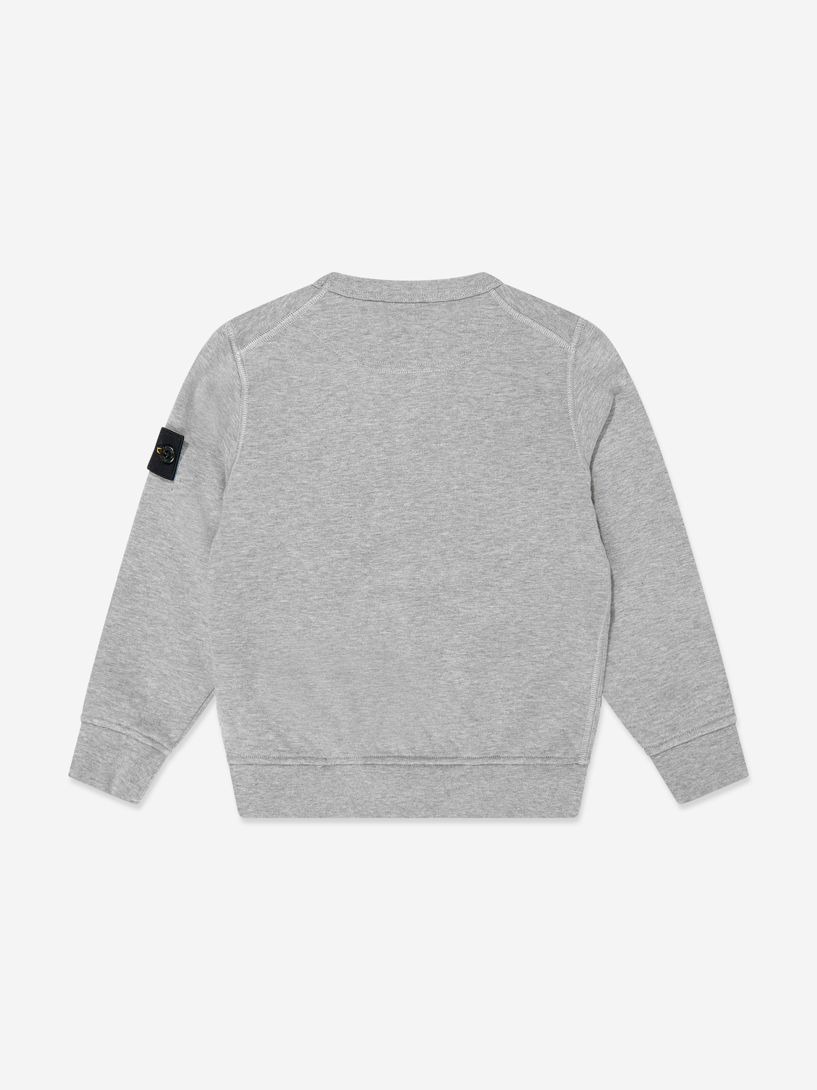 Boys Logo Sweatshirt in Grey