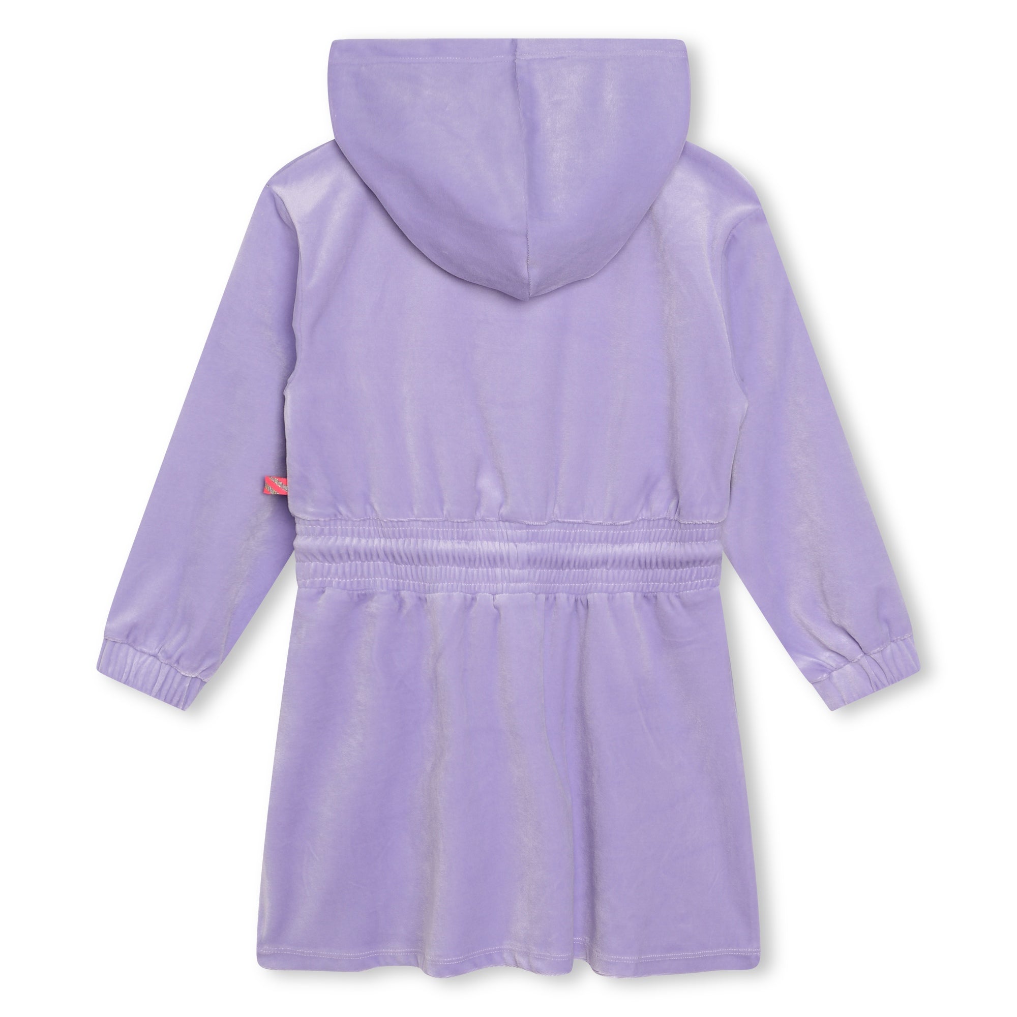 Girls Violet Velvet Dress