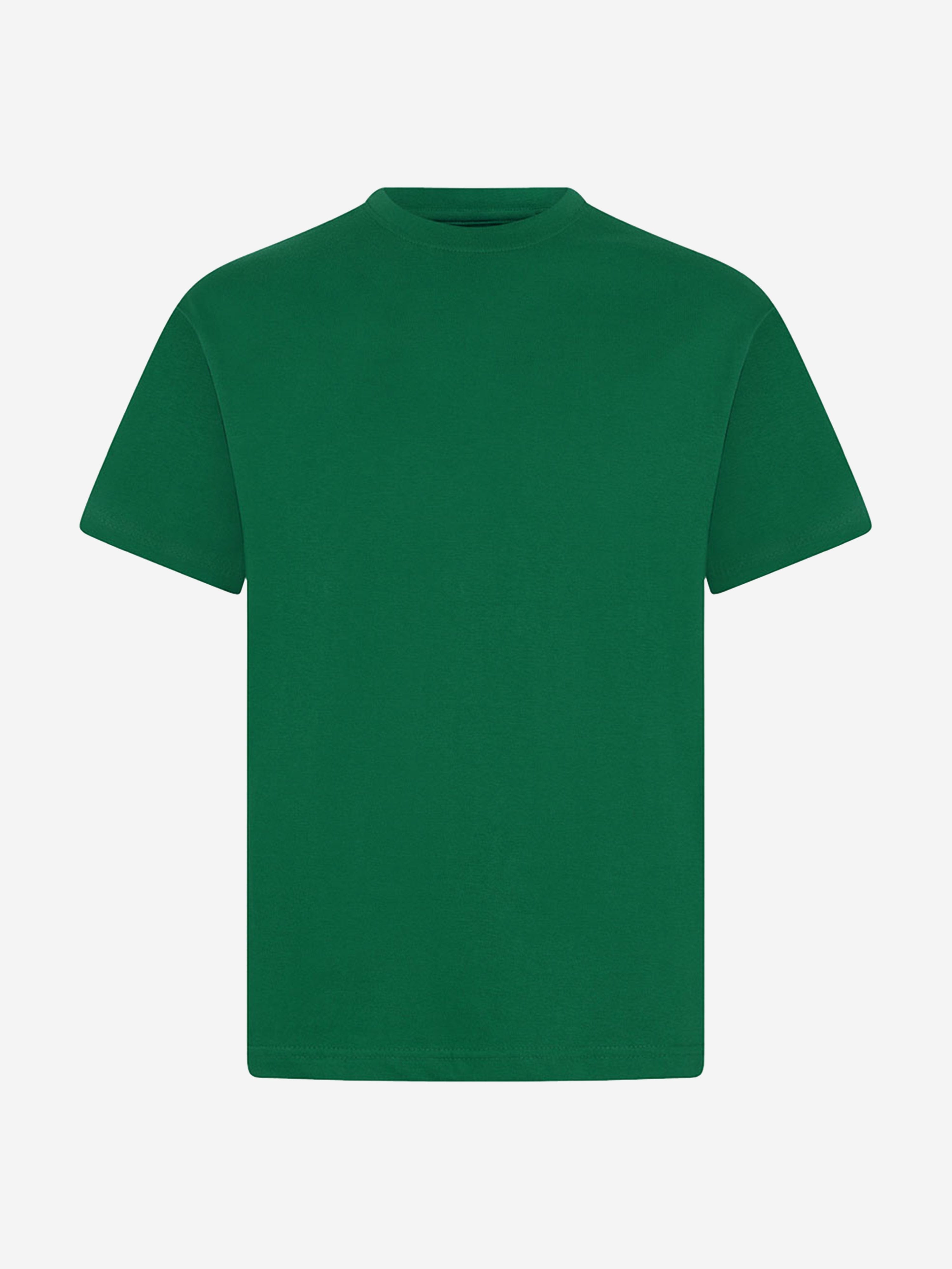 Zeco Kids School Crew Neck T-Shirt (Twin Pack) in Green