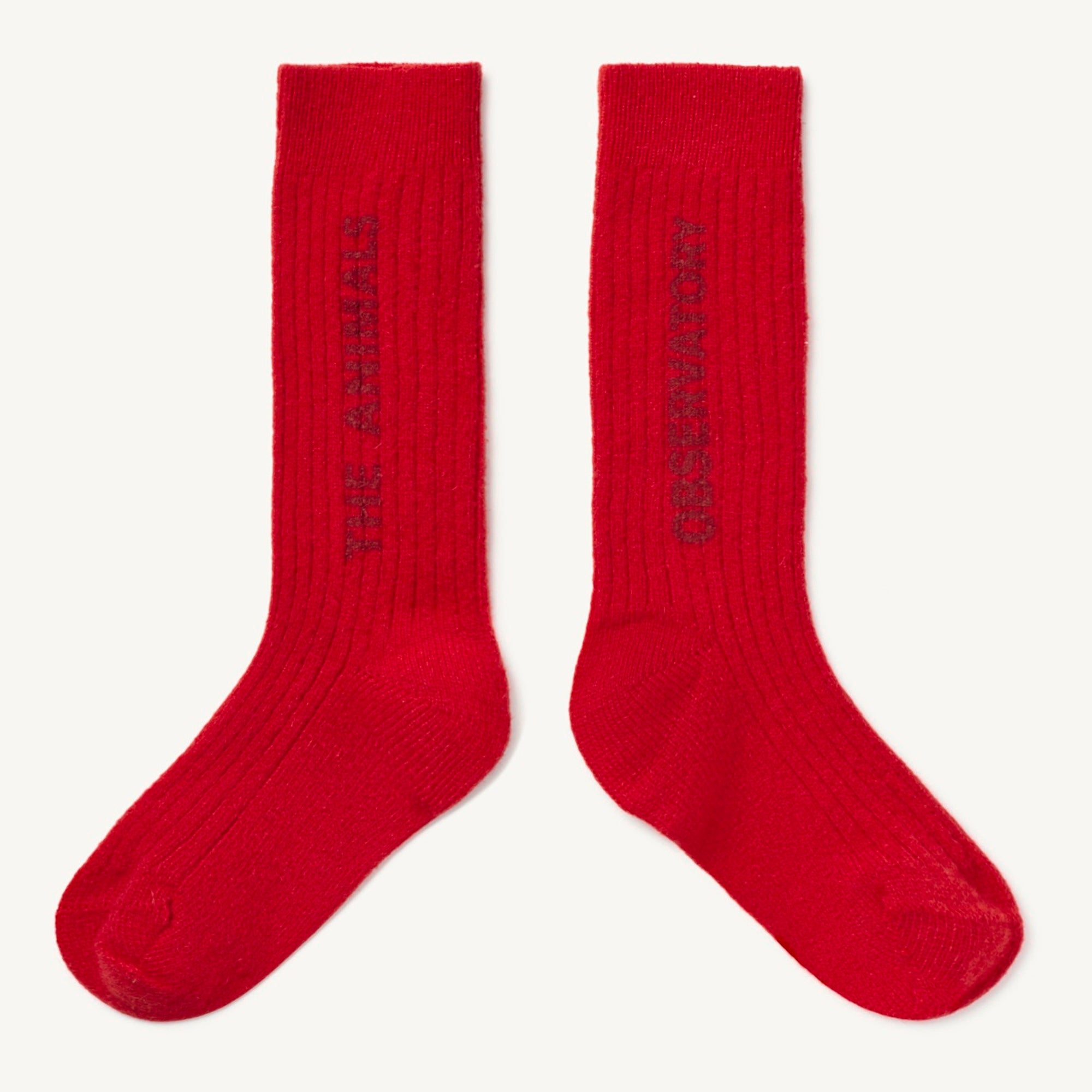 Boys & Girls Red Wool Socks