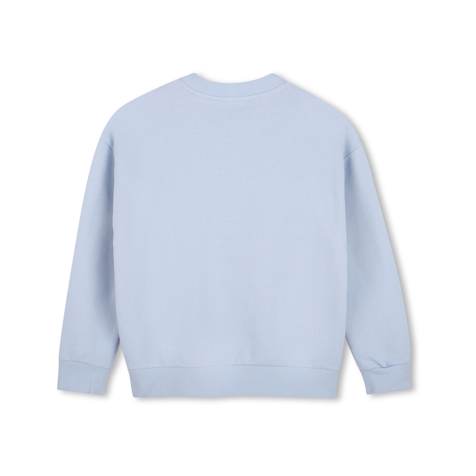Boys & Girls Light Blue Embroidered Tiger Cotton Sweatshirt