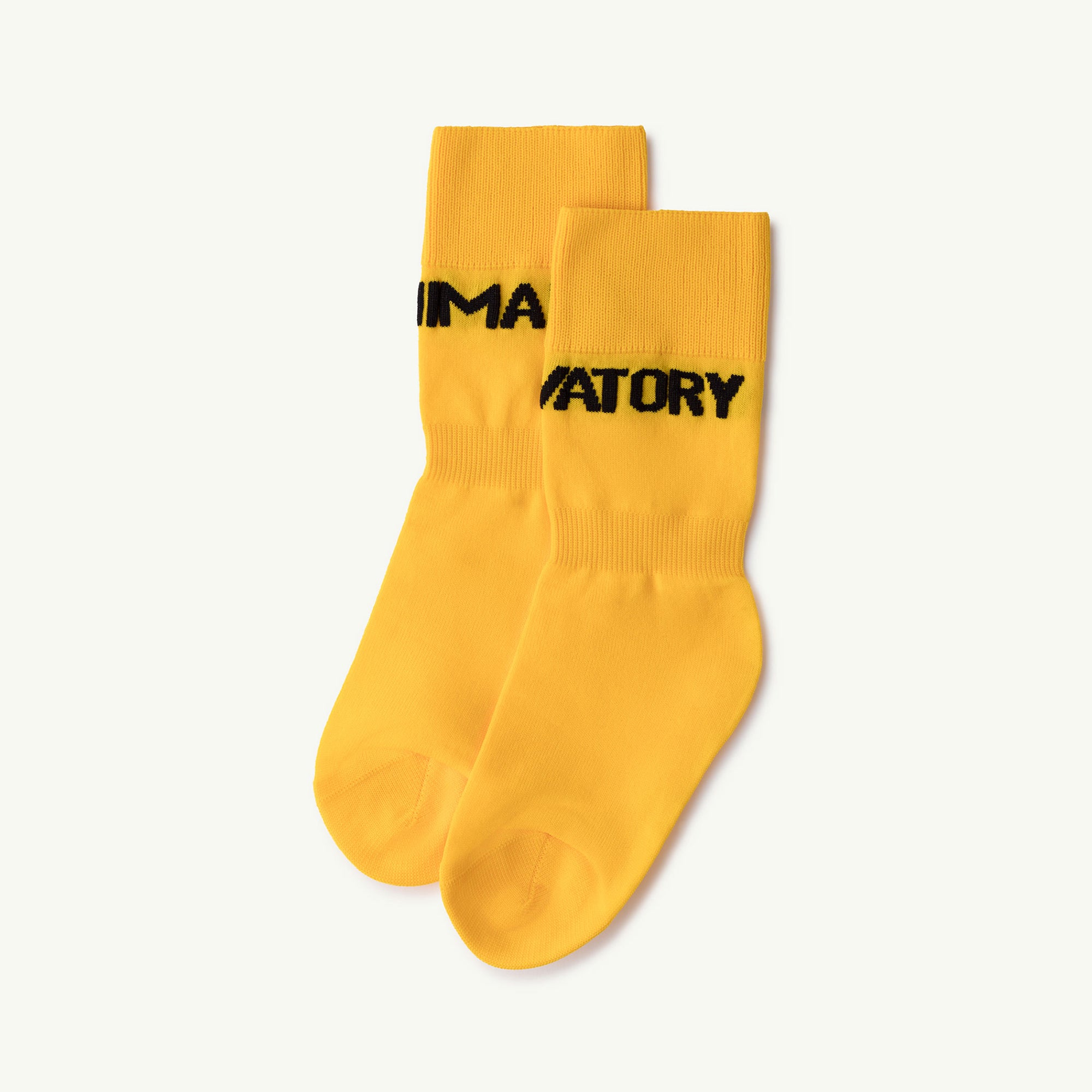 Boys & Girls Yellow Socks