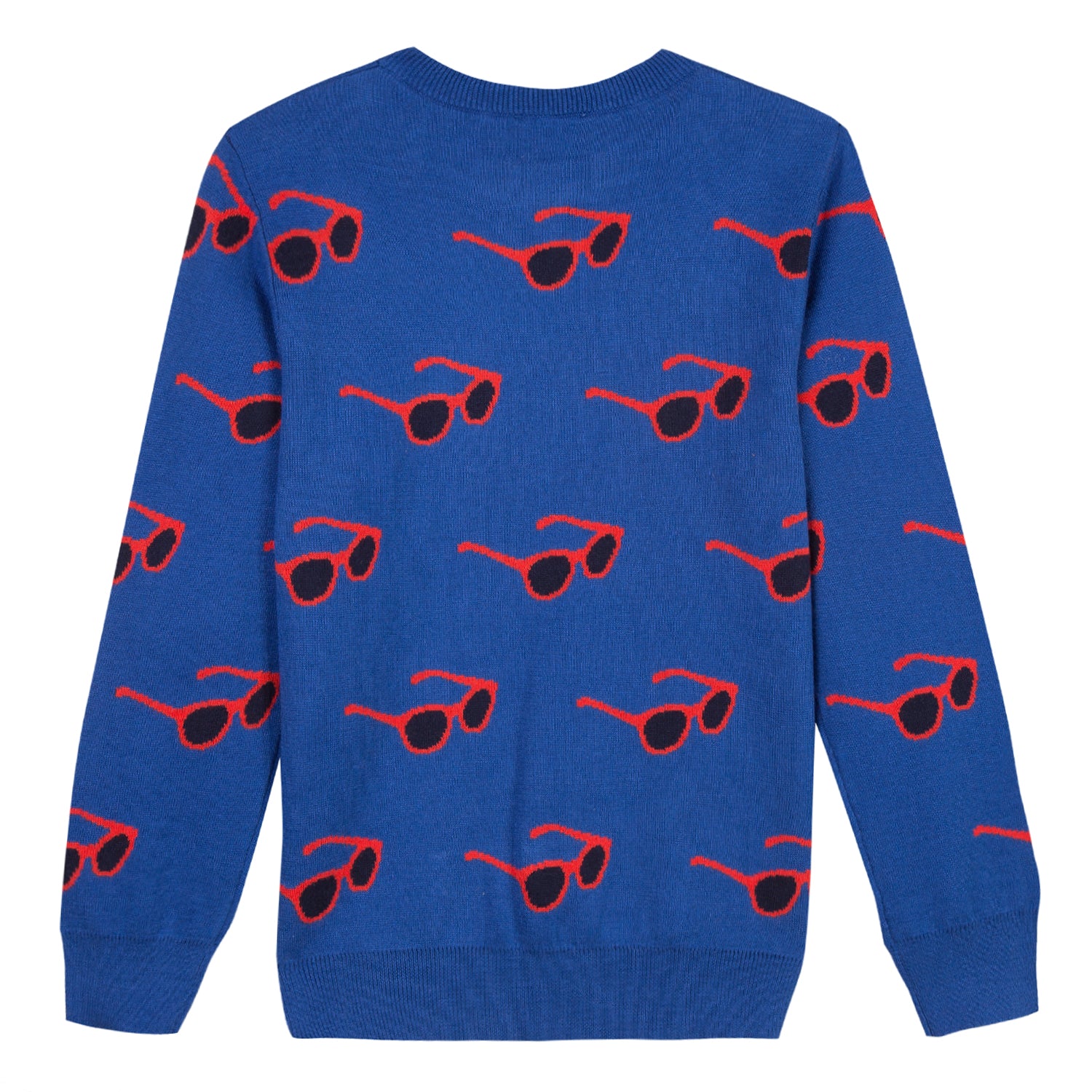 Boys Blue Glasses Cotton Sweater