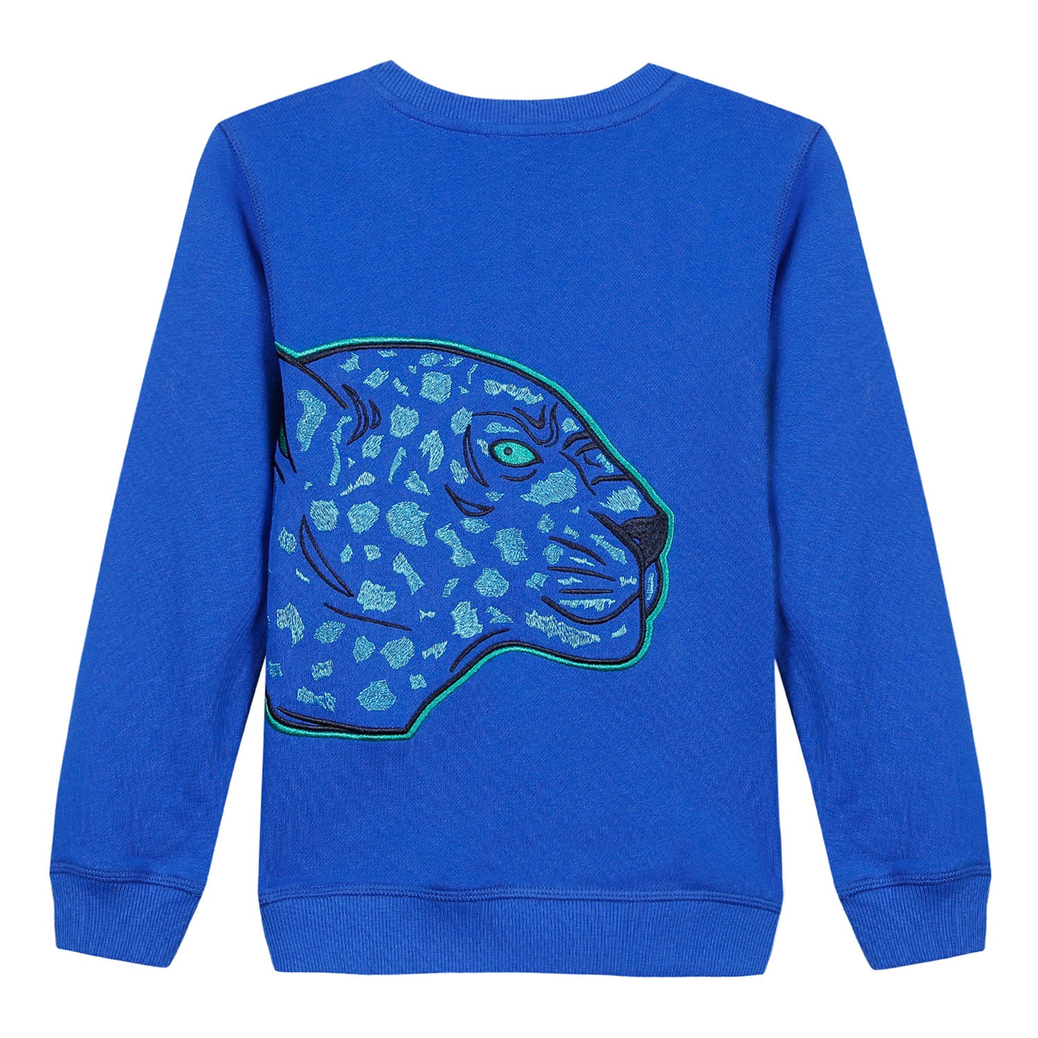 Boys Blue Printed Cotton Sweater