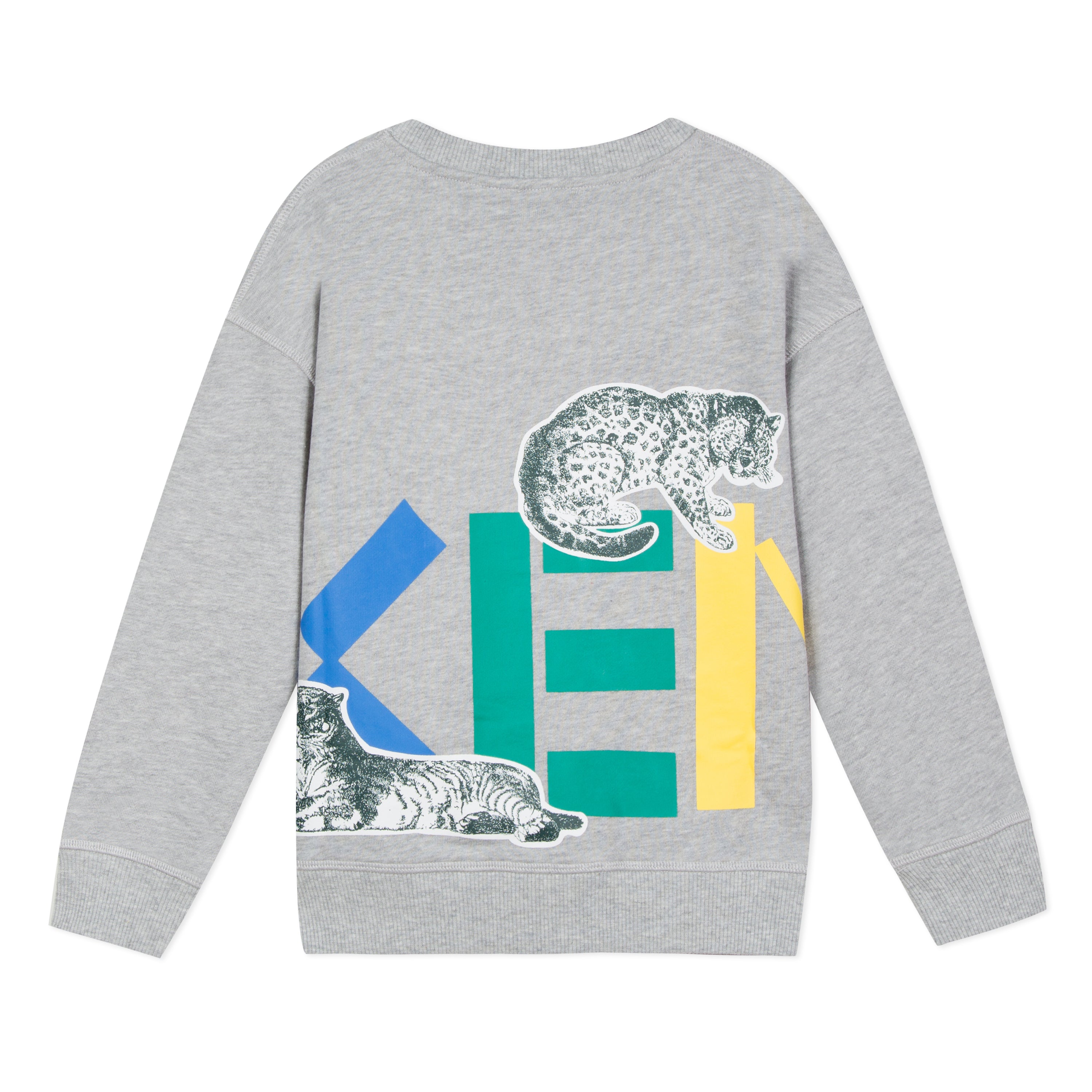 Boys Grey Printing Cotton Sweatshirt
