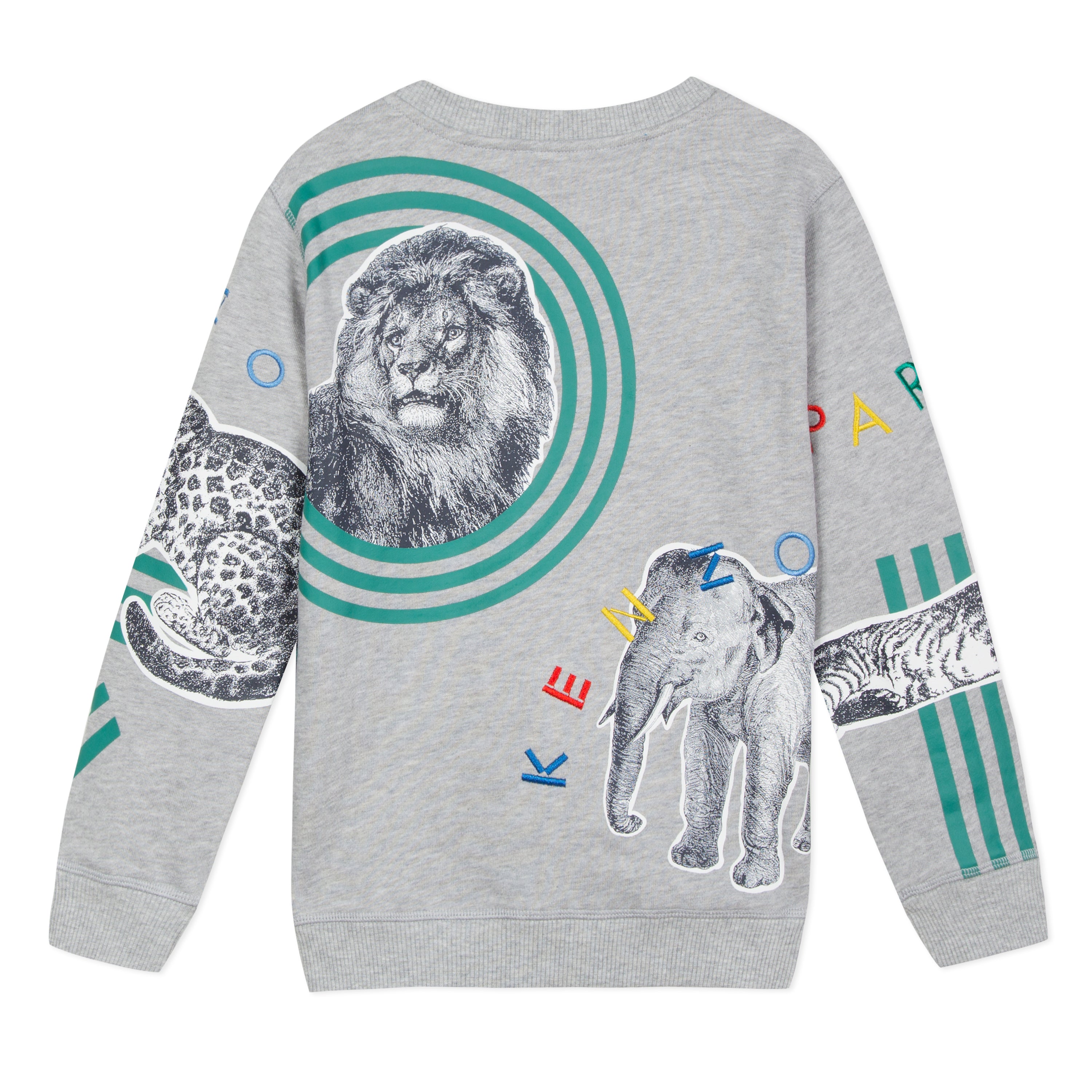 Boys Grey Printing Cotton Sweatshirt