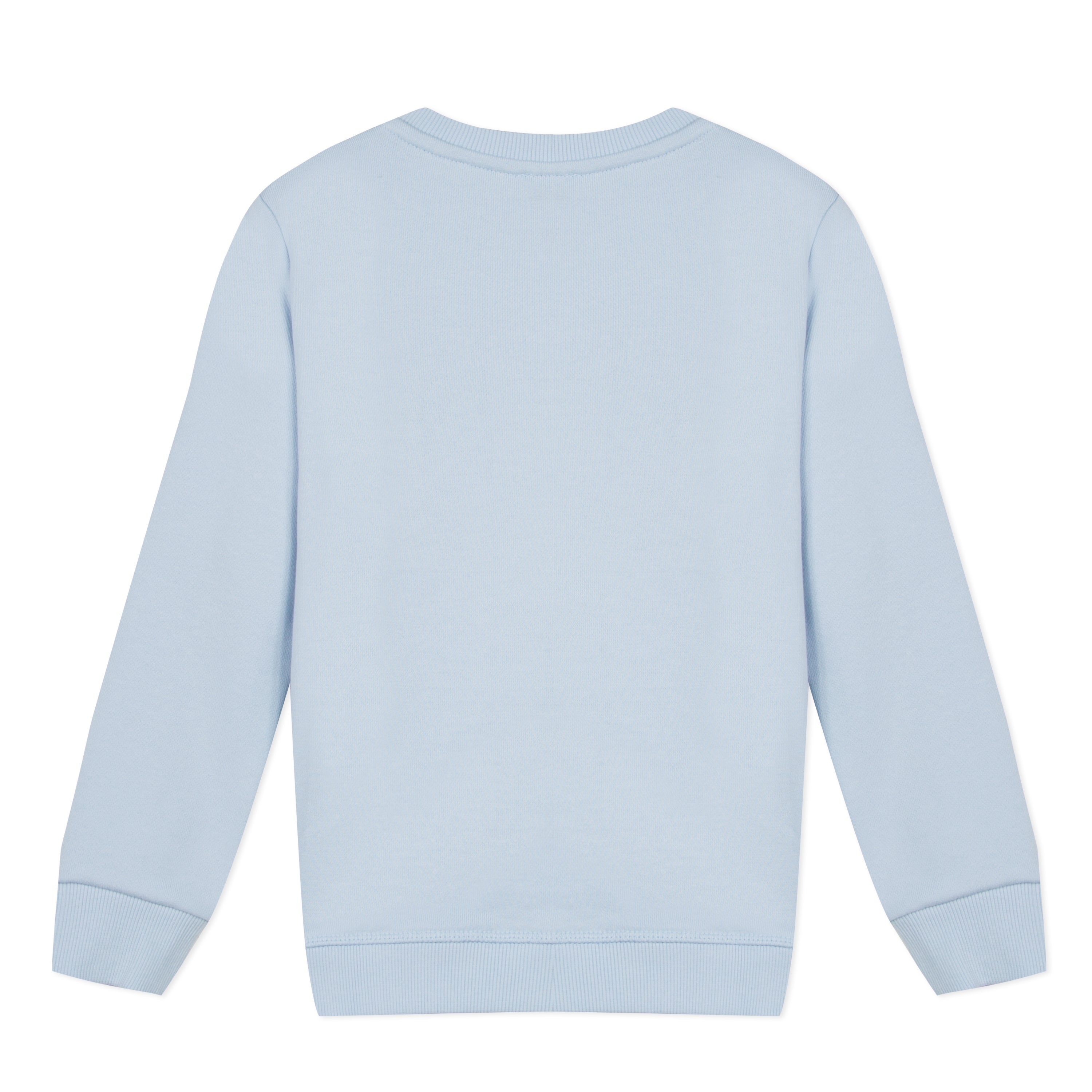Boys Light Blue Tiger Cotton Sweatshirt