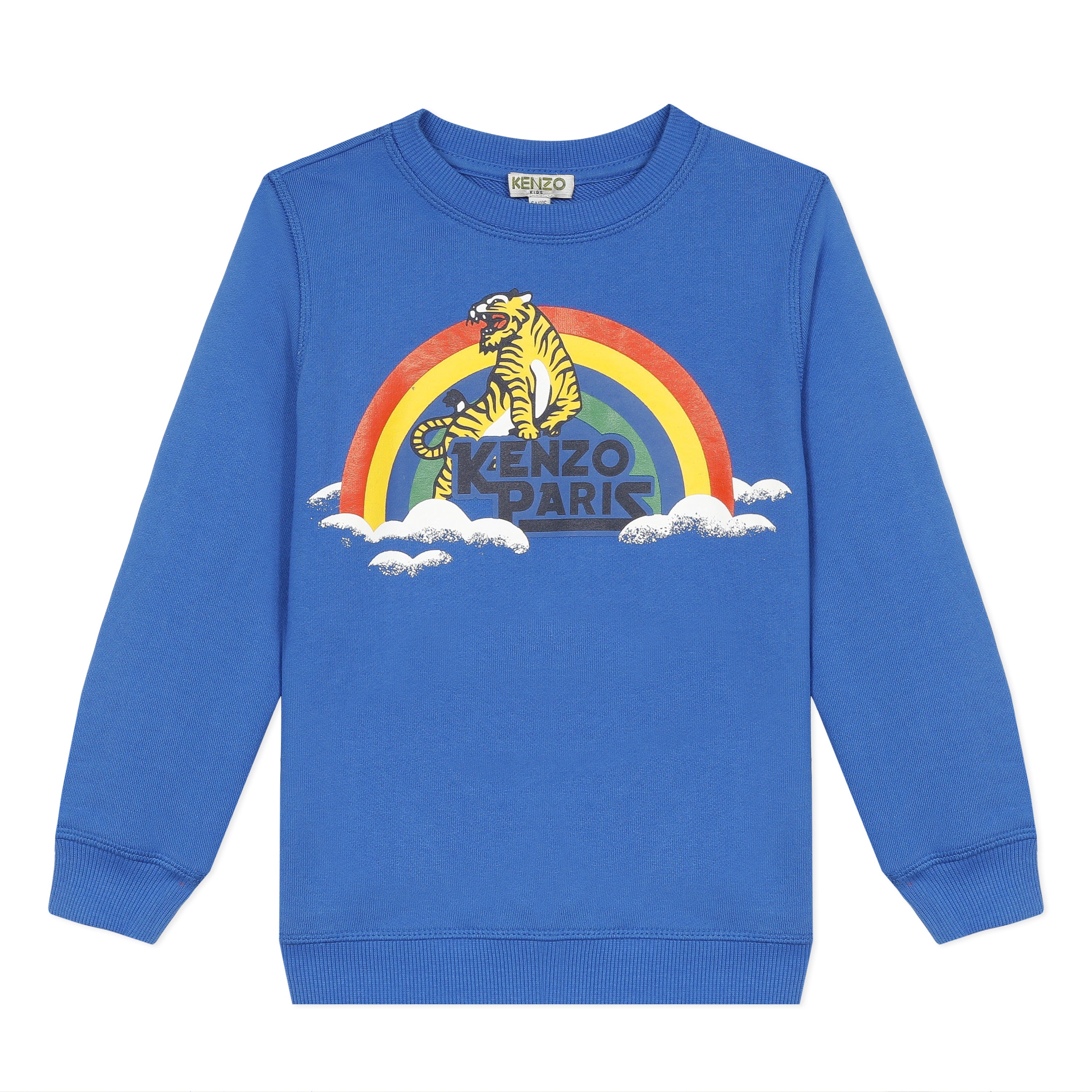 Boys Vivid Blue Cotton Sweatshirt