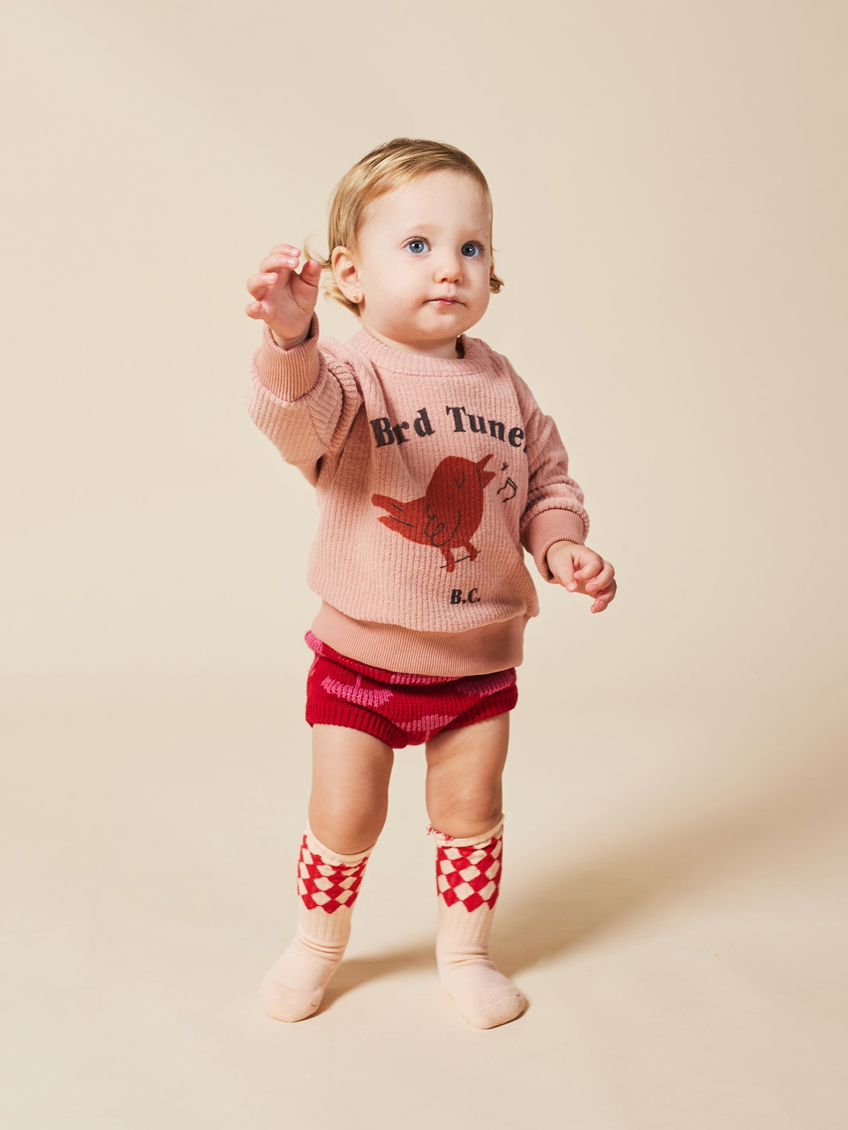 Baby Boys Rose Tan Bird Sweatshirt