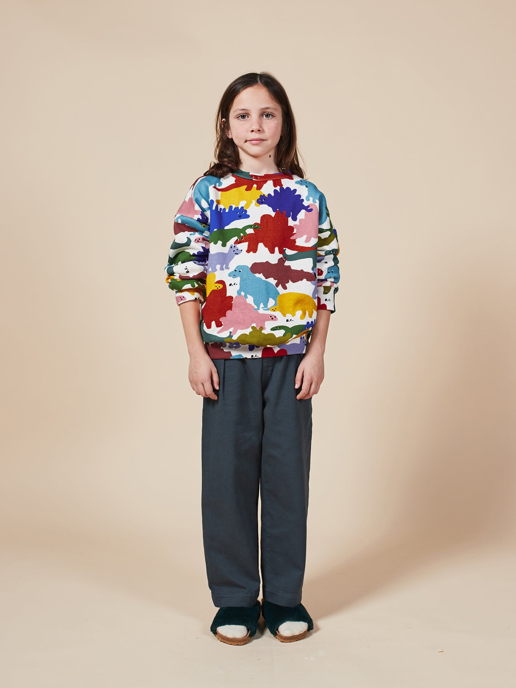 Boys Pristine Dinos Organic Cotton Sweatshirt