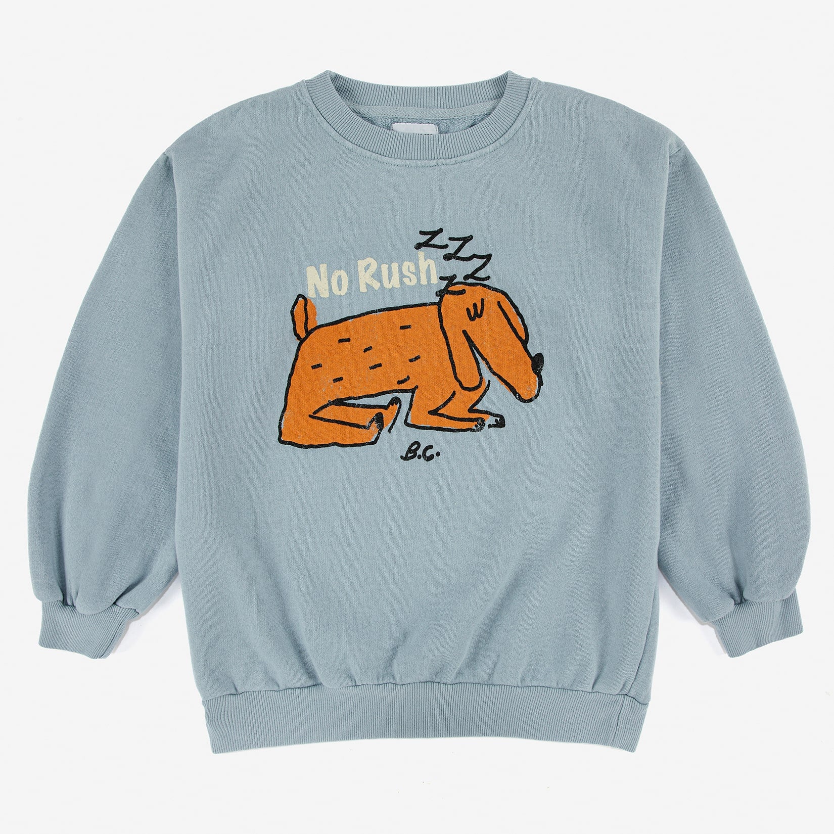 Boys & Girls Light Blue Printed Cotton Sweatshirt