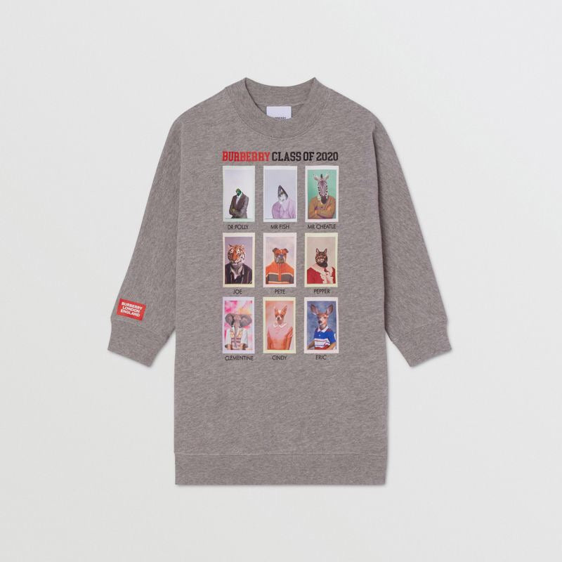 Girls Grey Melange Cotton Jersy Dress