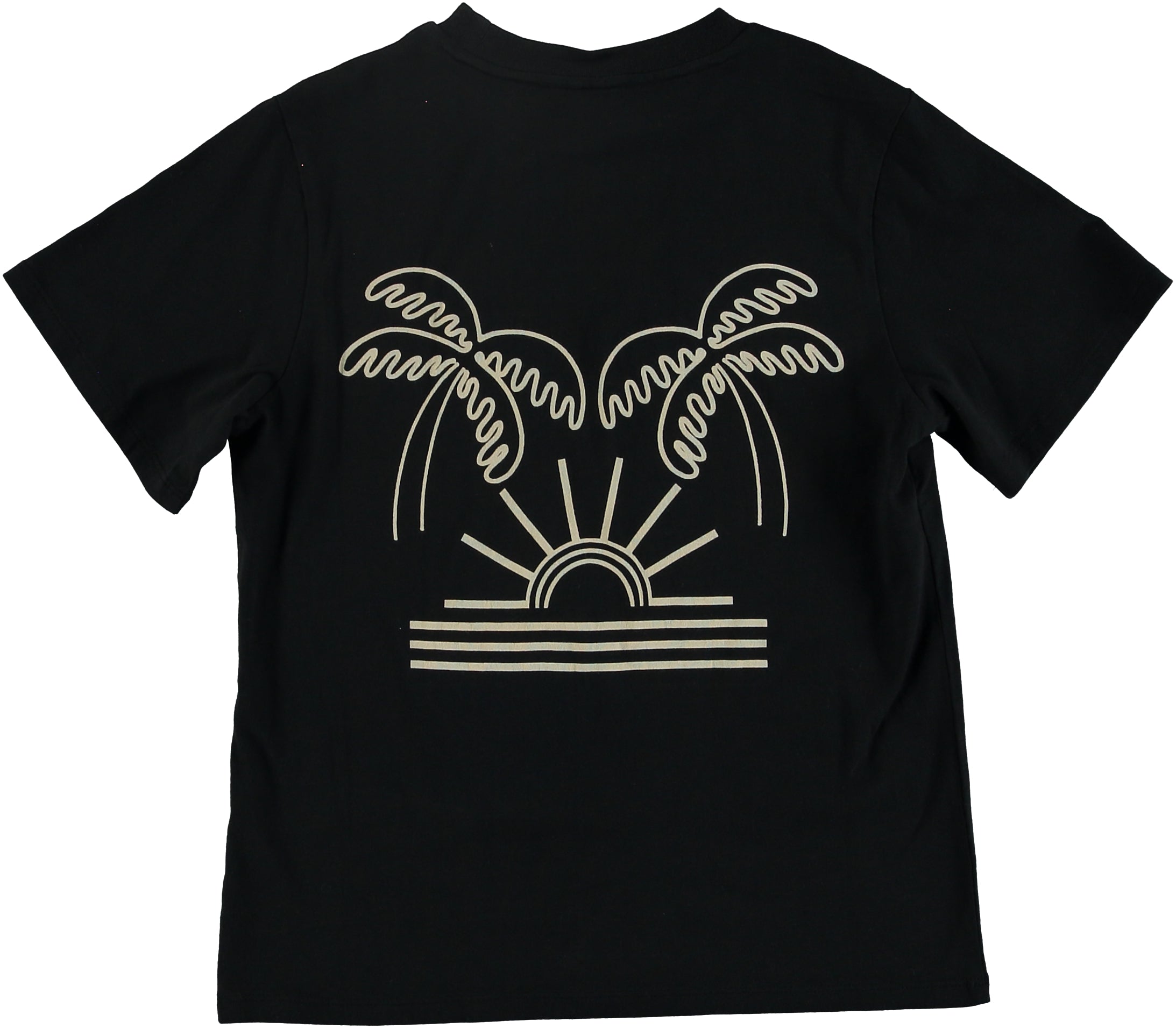 Boys Black Printed T-shirt
