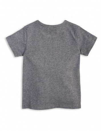 Boys Grey Lion T-shirt