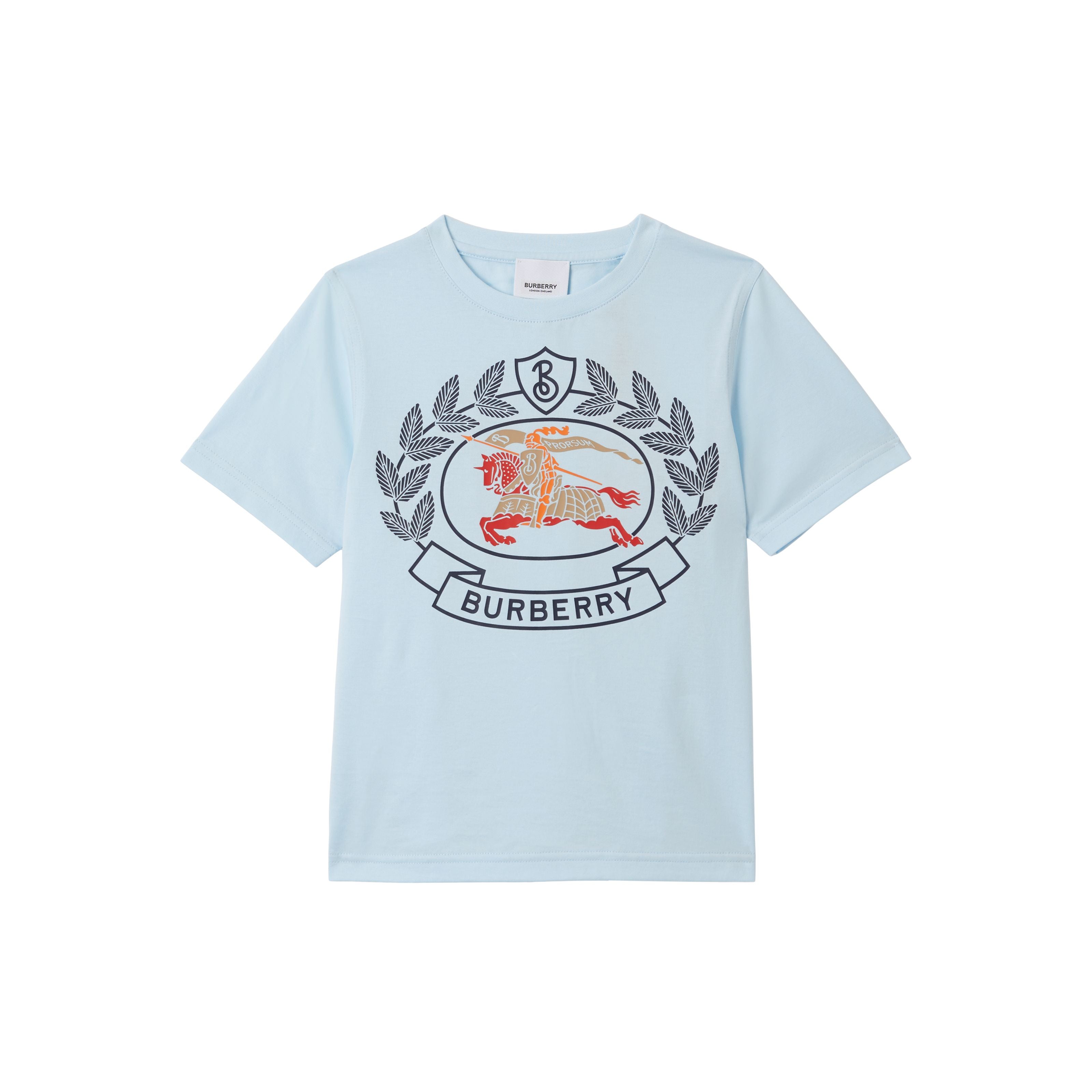 Boys & Girls Pale Blue Cotton T-Shirt
