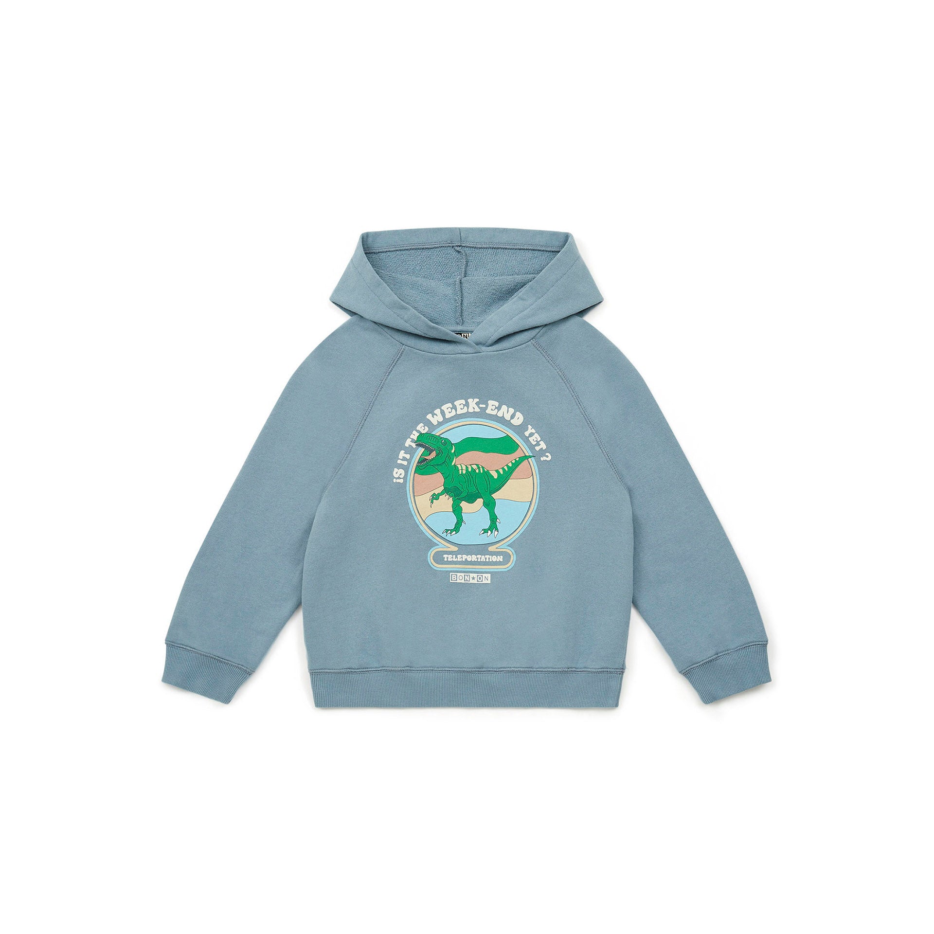 Boys Blue Hooded Sweatshirt
