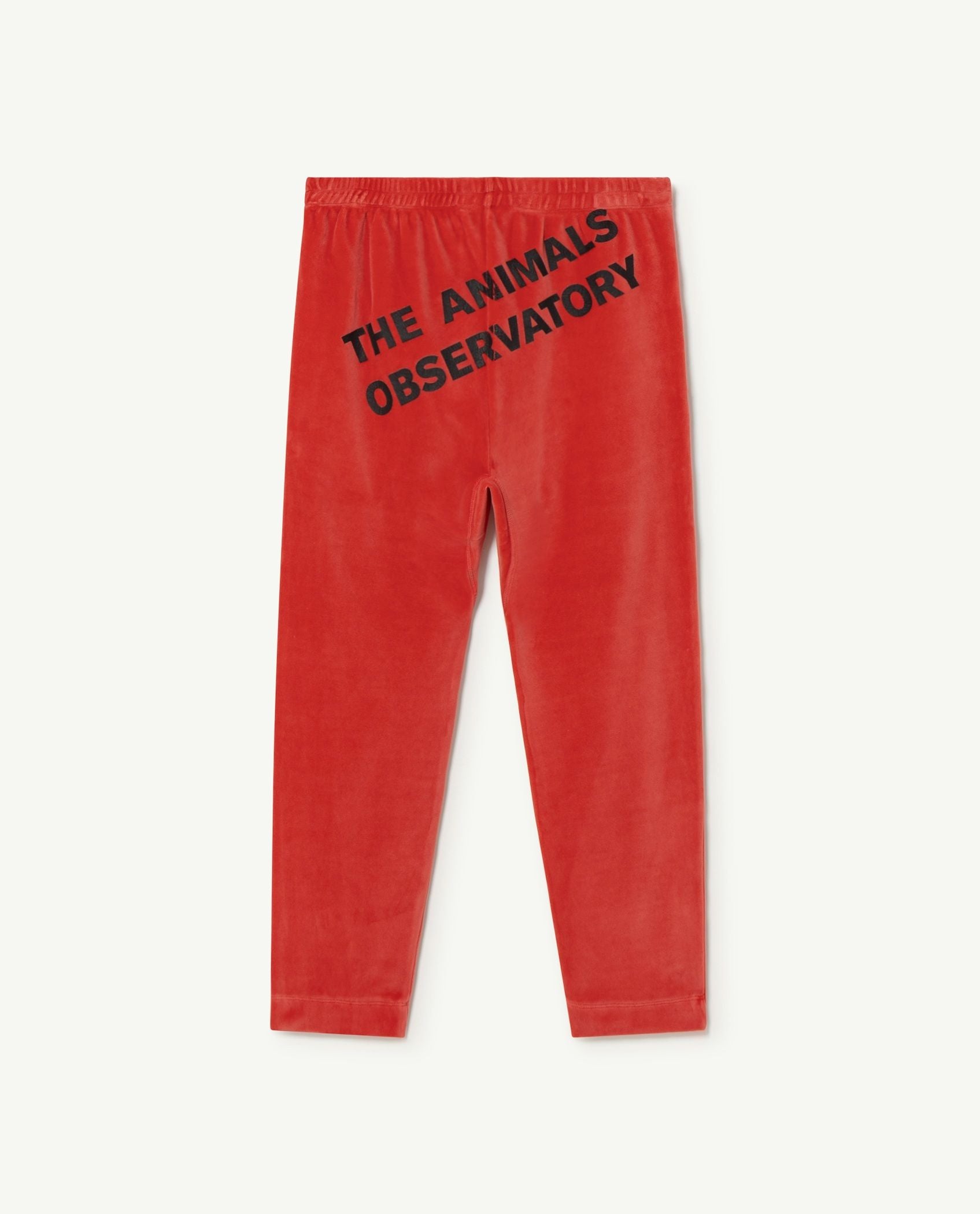 Boys & Girls Red Velvet Trousers