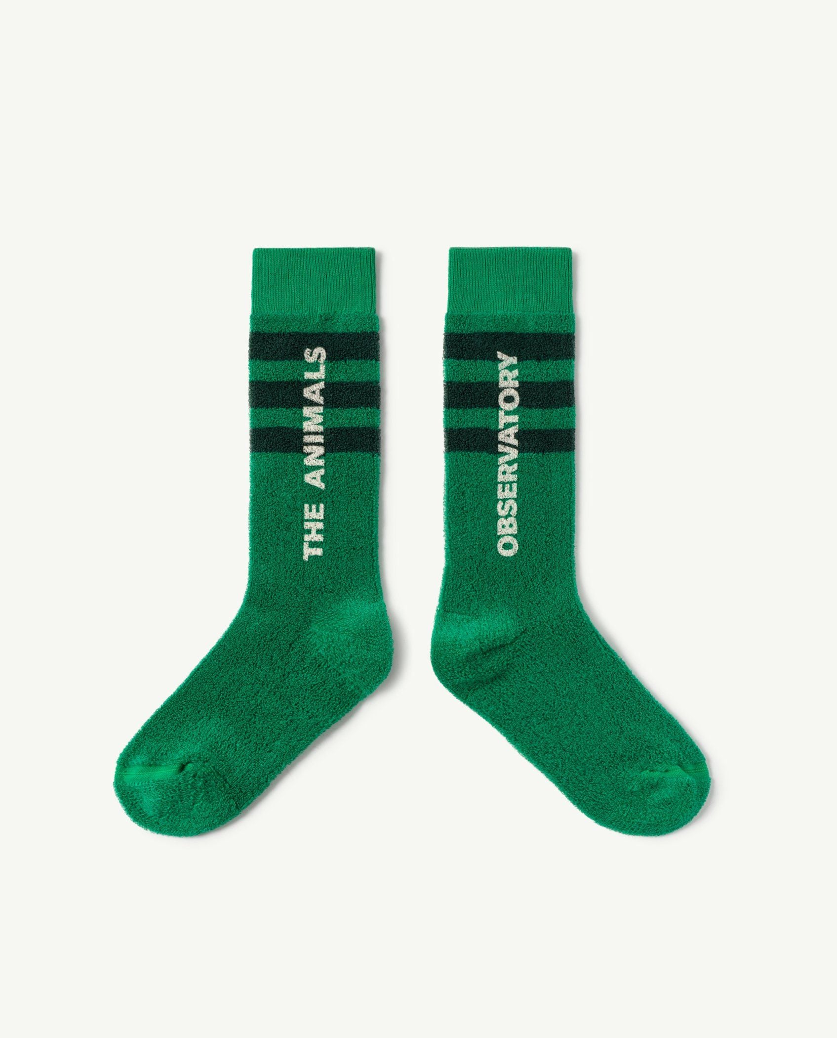 Boys & Girls Green Cotton Socks