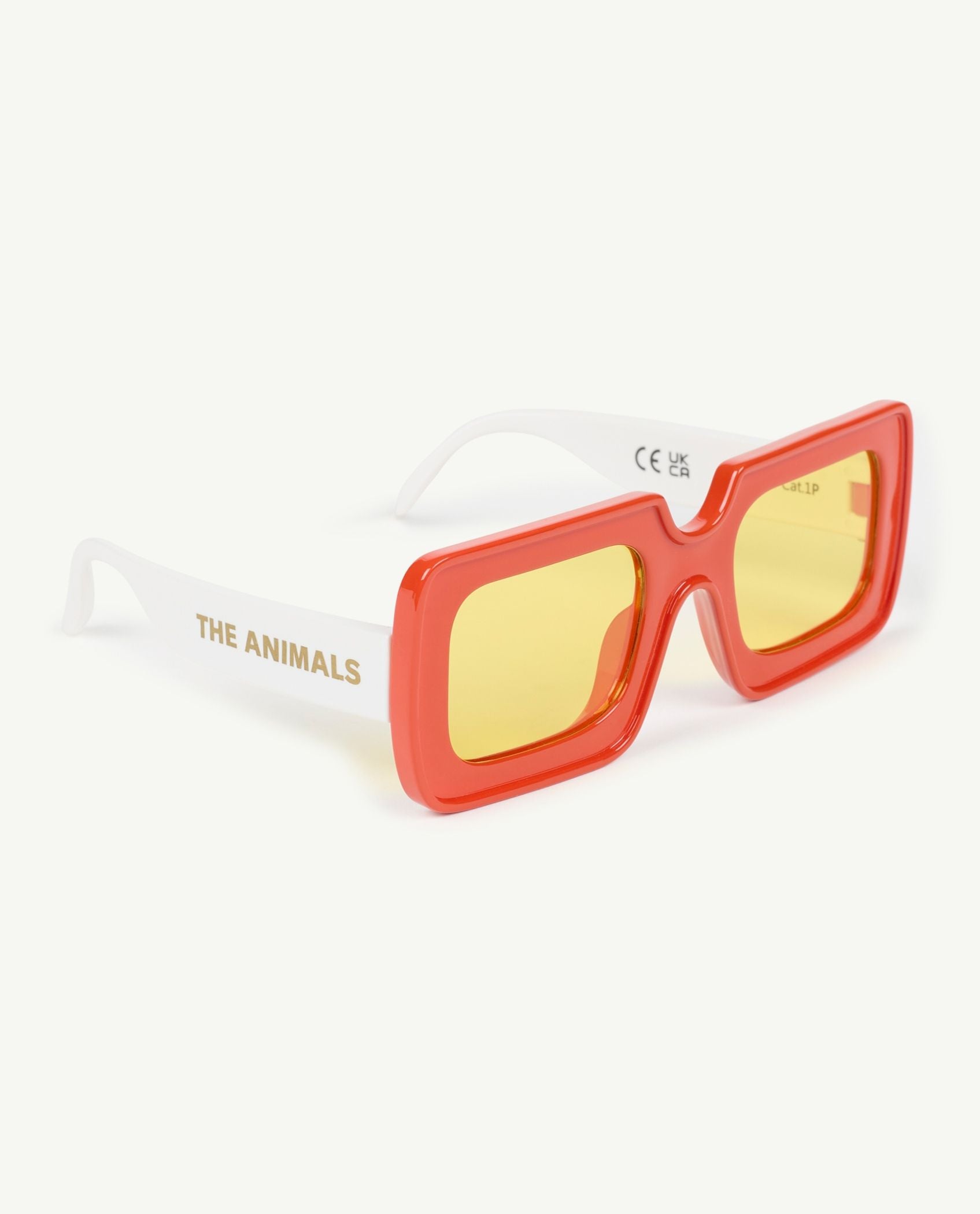 Boys & Girls Orange Sunglasses