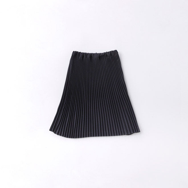 Girls Navy Pleated Skirt