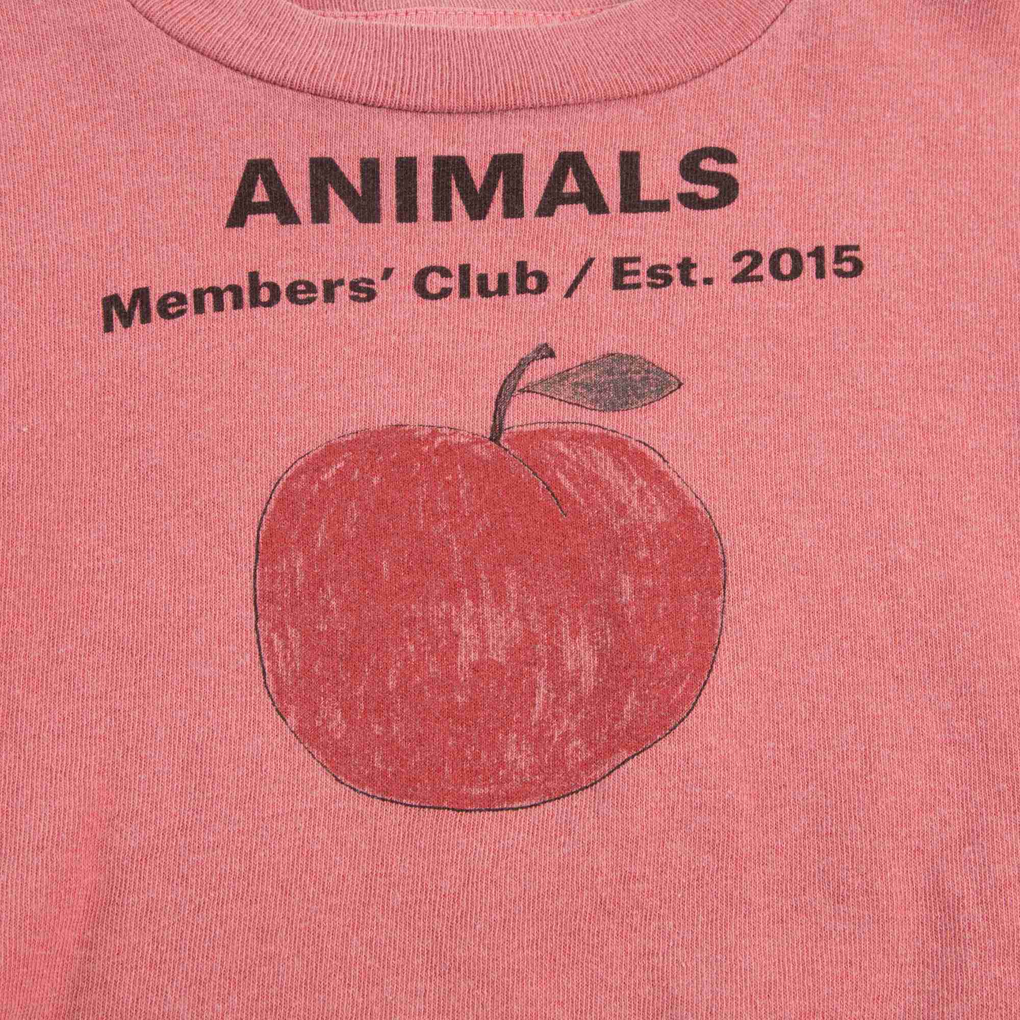 Baby Girls Red Peach Cotton T-shirt